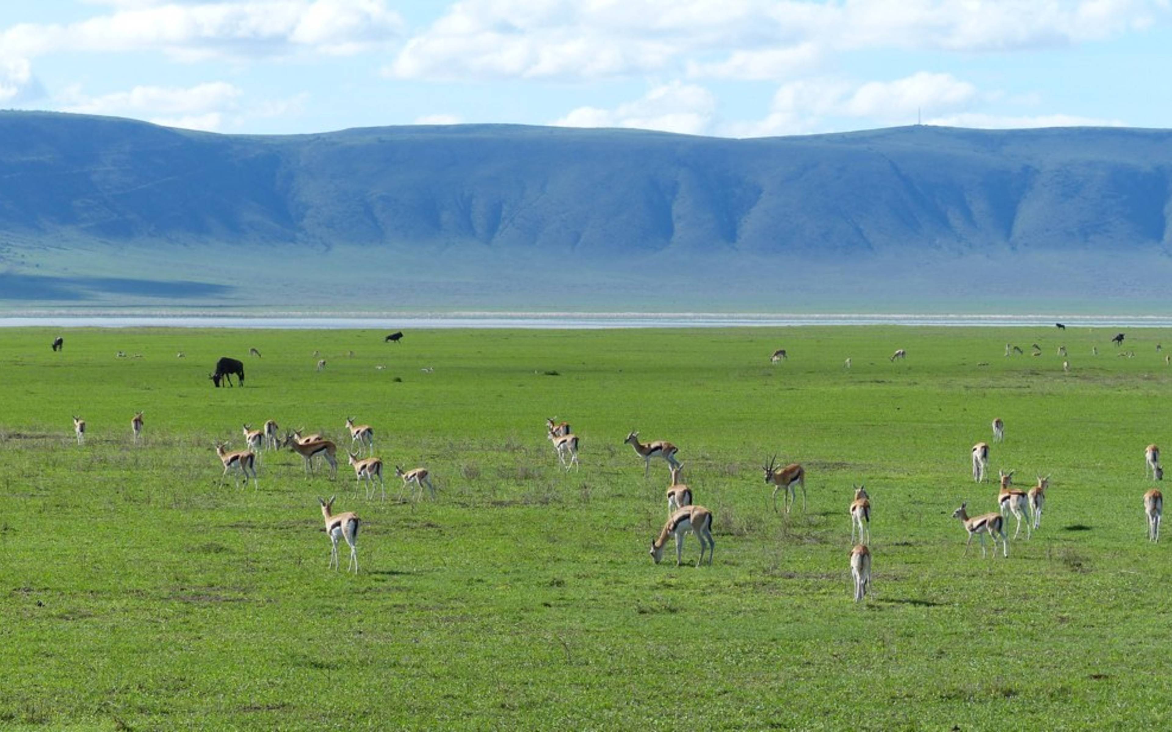 Le cratère du Ngorongoro, une légende