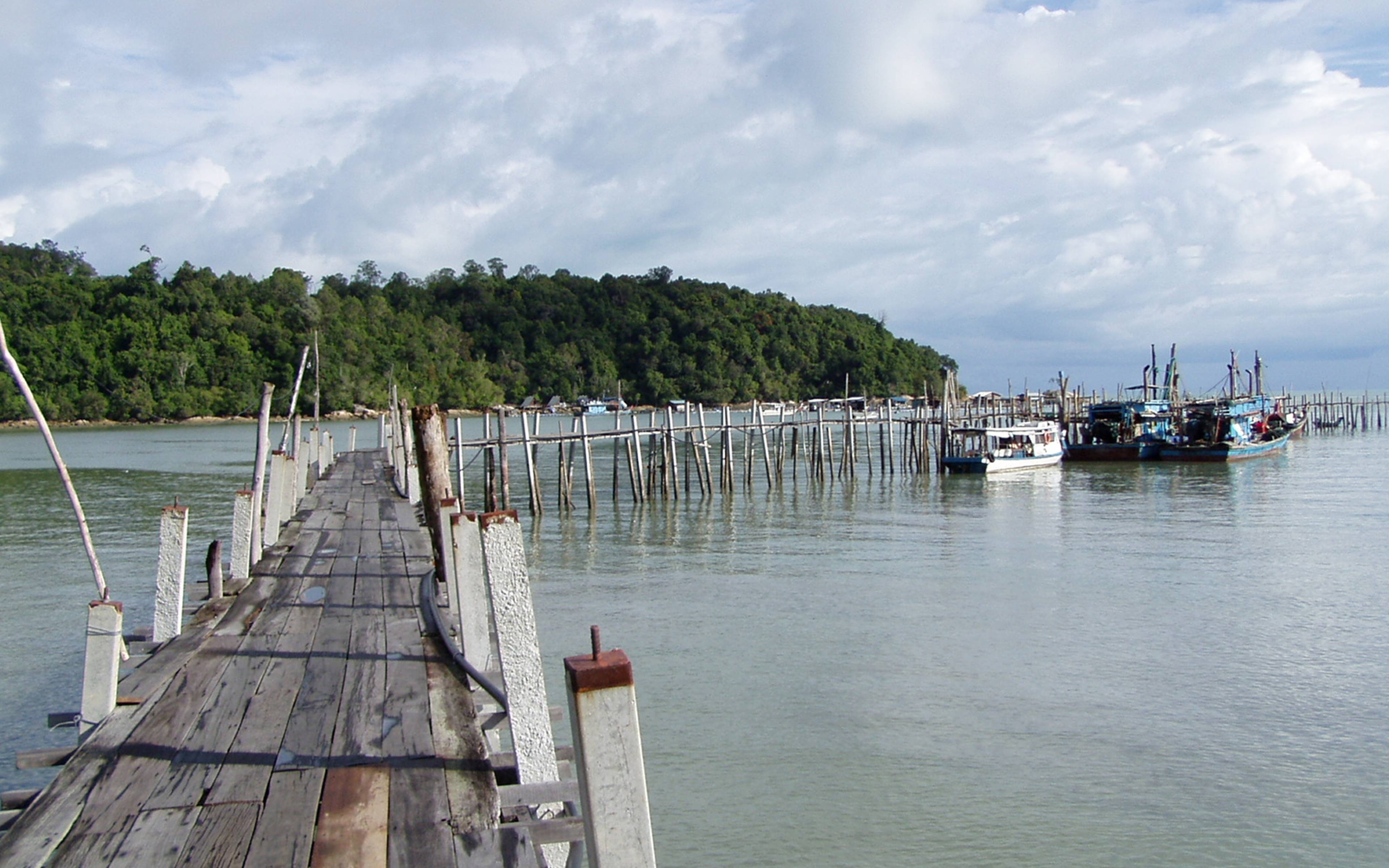 Escursioni in barca al Kuching wetlands national park 