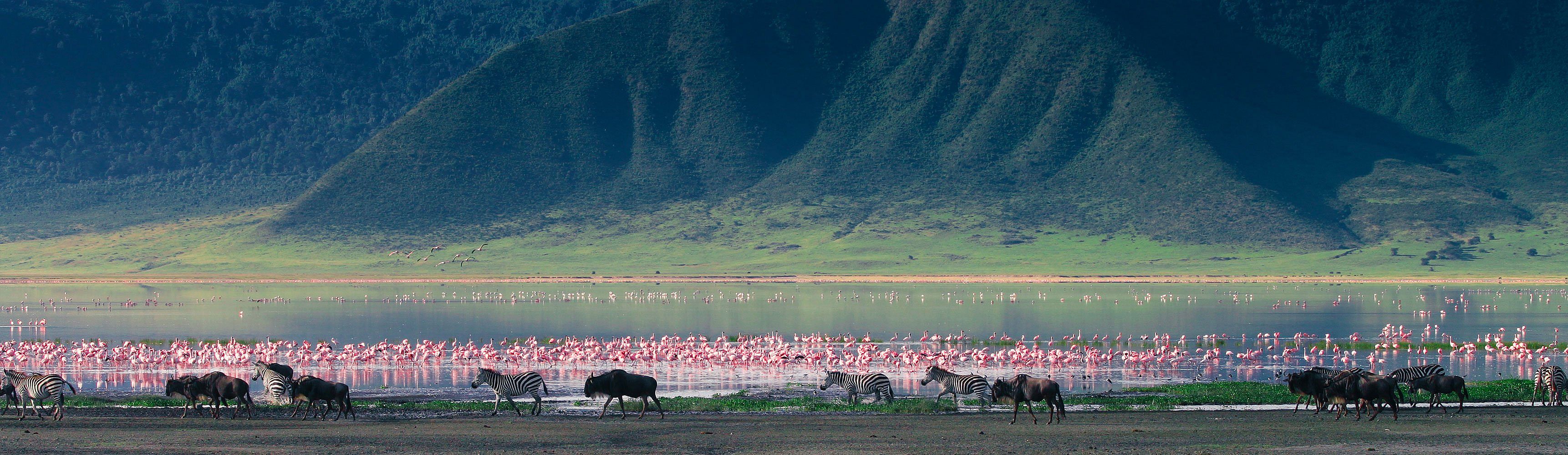 Safari privato dai parchi del nord alle spiagge di Zanzibar
