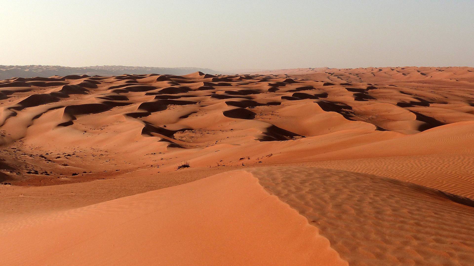 Desierto y la ruta de las mil Kasbahs