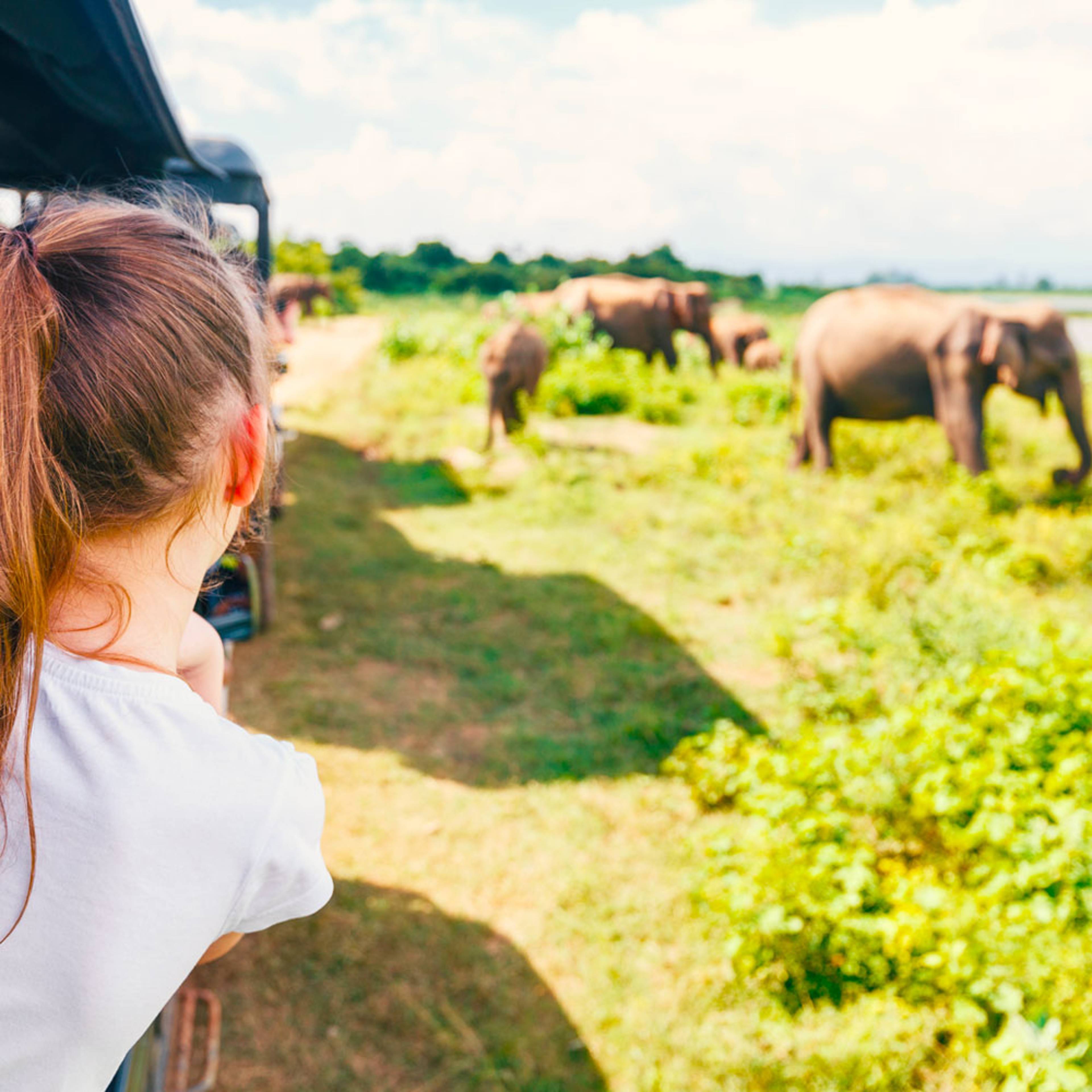 Uw op maat gemaakte safari reis in Sri Lanka