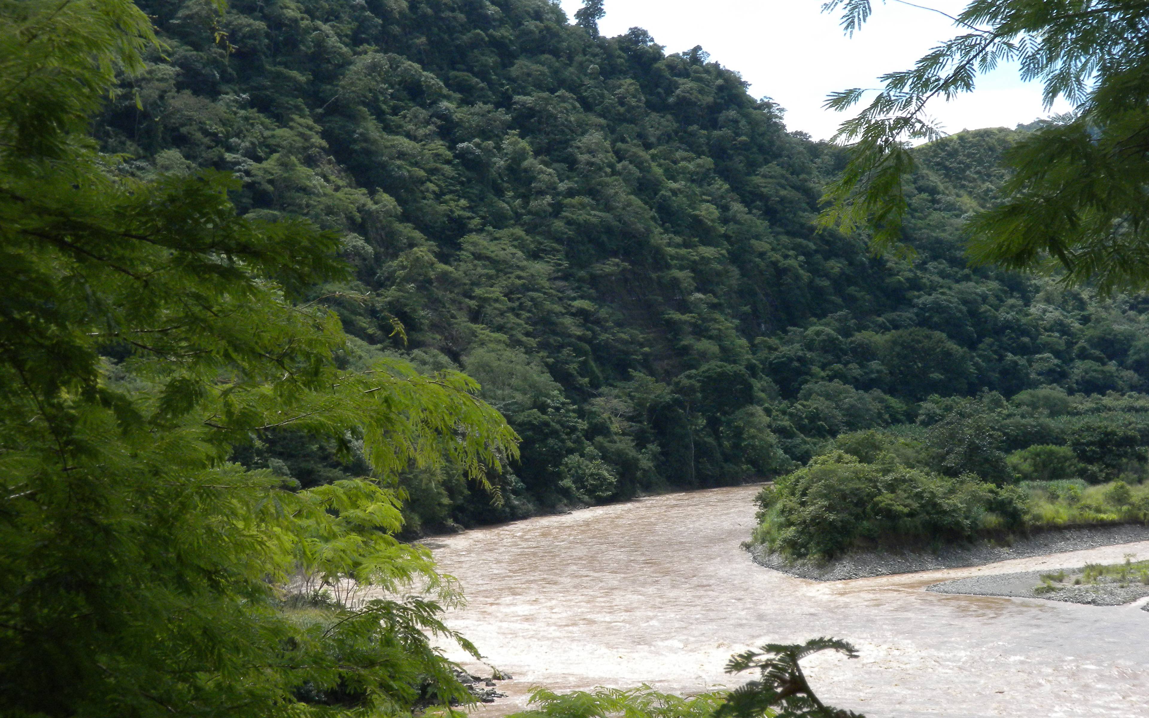 Rio Paquare