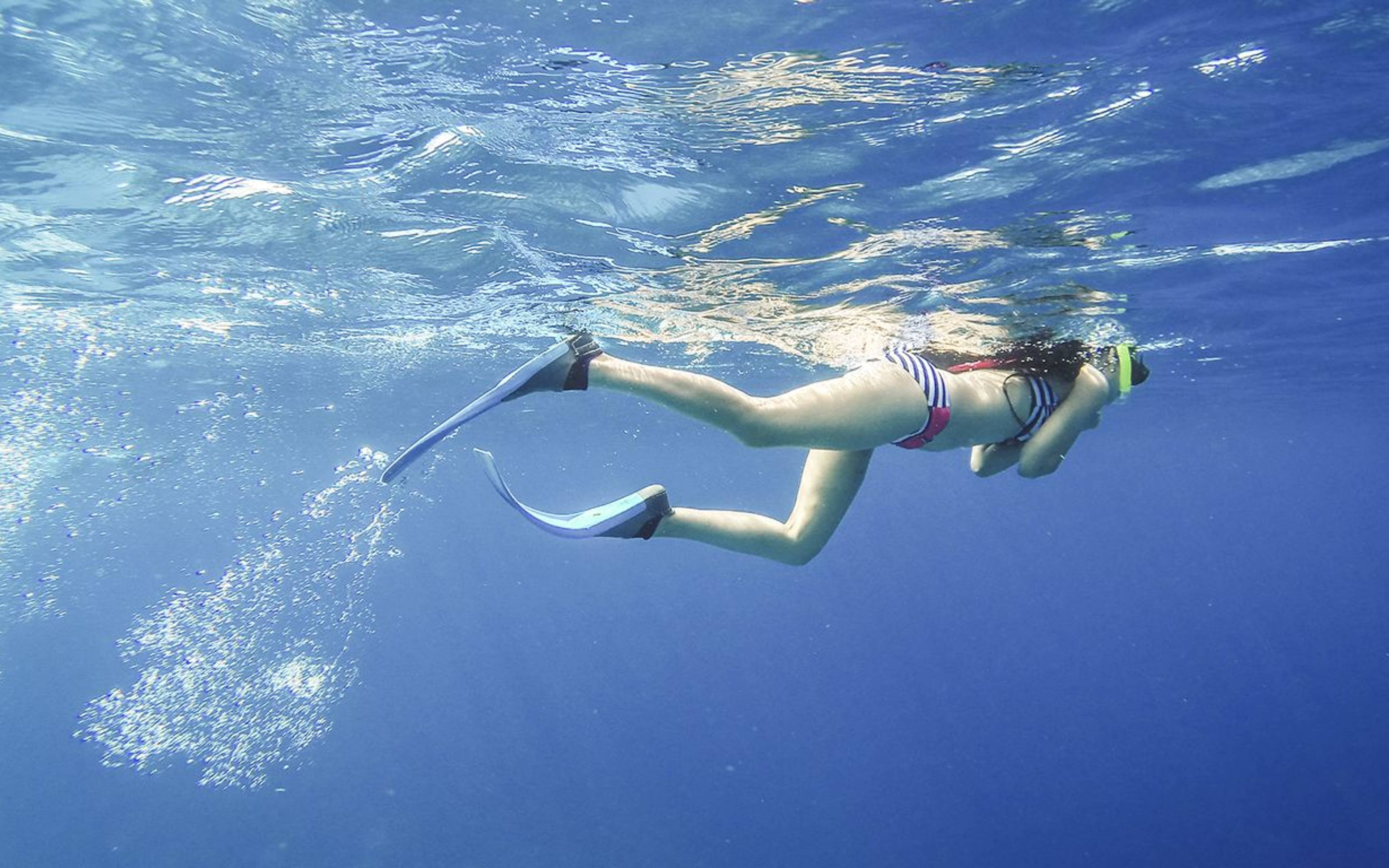 Snorkeling dans la baie de Cienfuegos