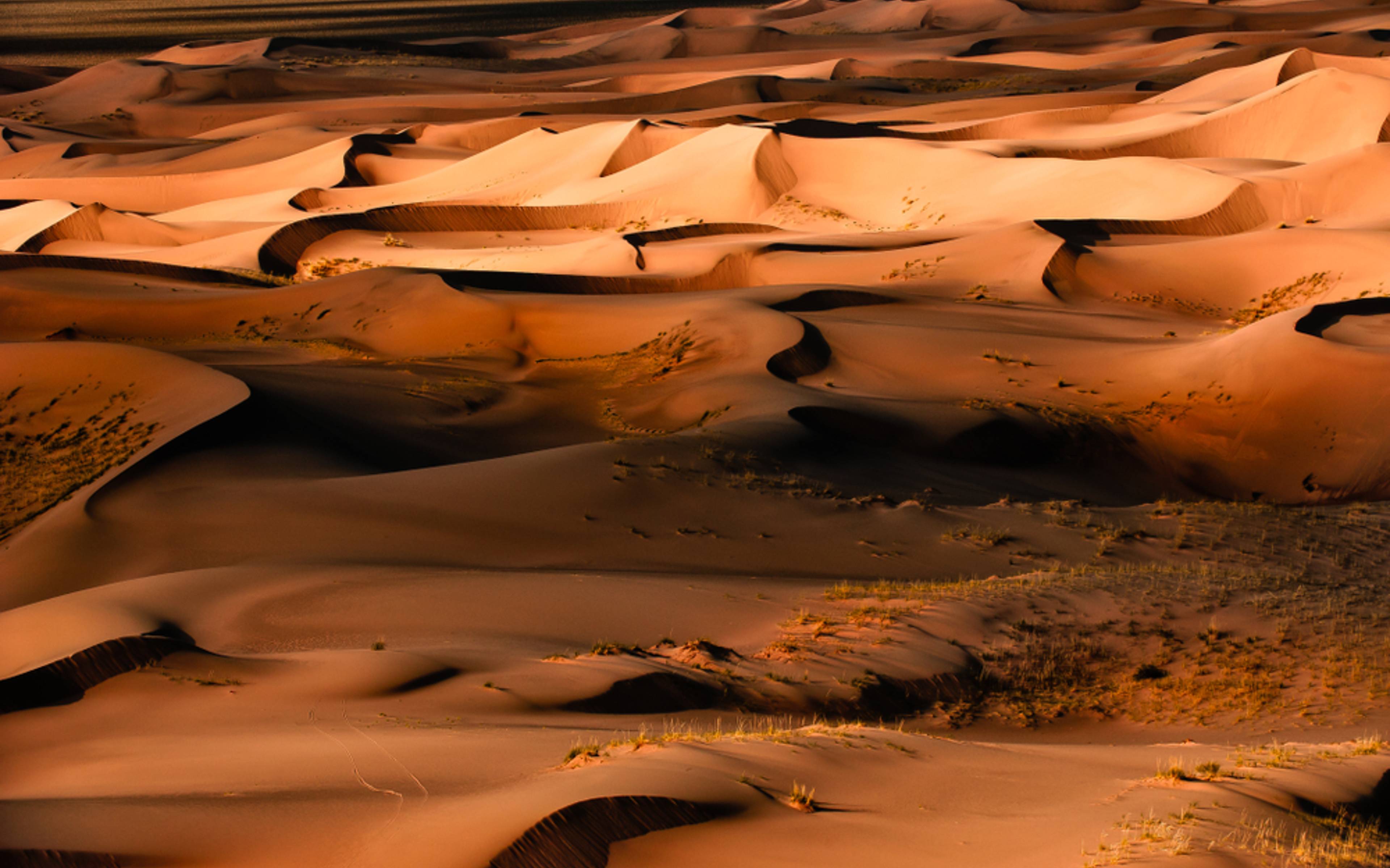 La dune de Khongorin Els