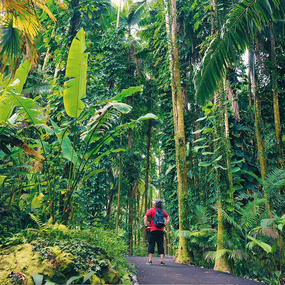 Design your perfect hiking tour with a local expert in Belize