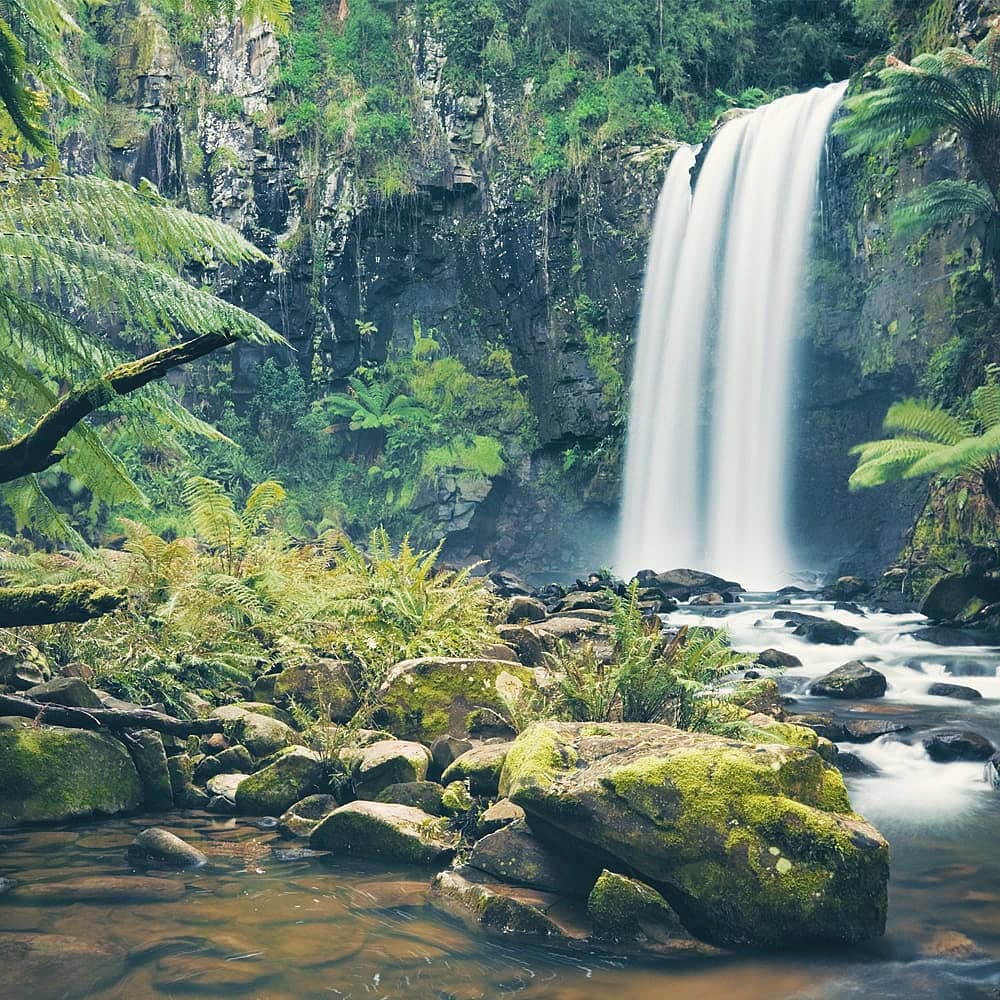 Design your perfect rainforest tour with a local expert in Australia