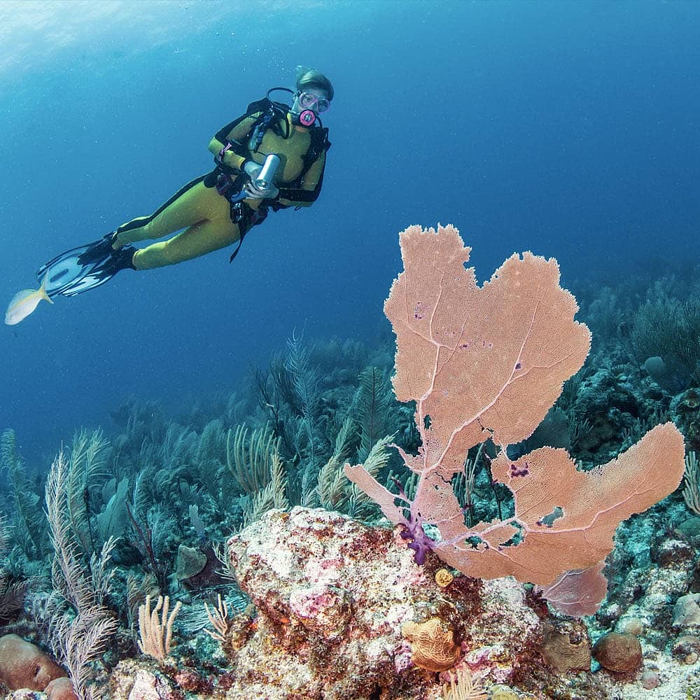 Experience scuba diving in Belize with a hand-picked local expert