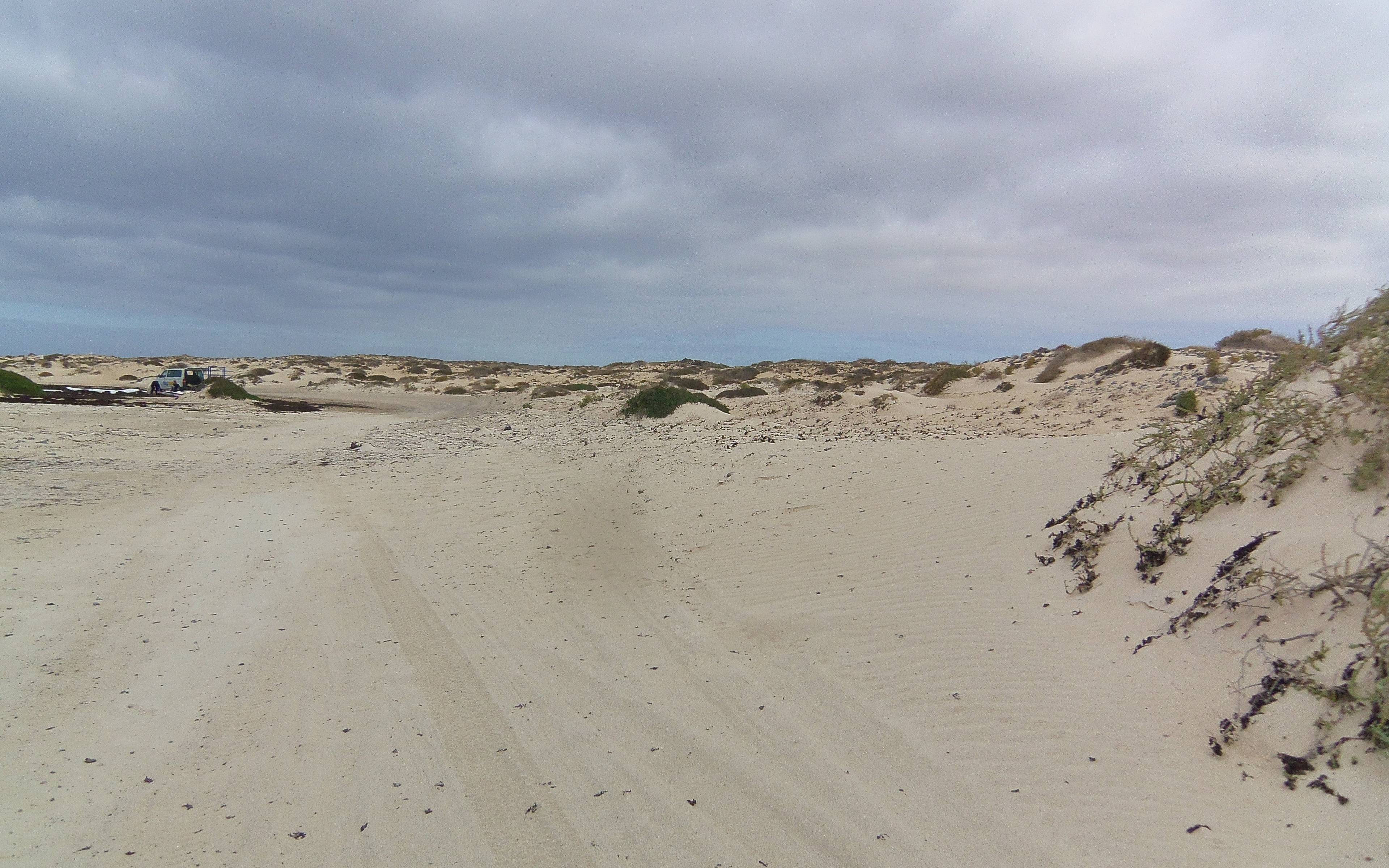 Parc des Dunes de Corralejo