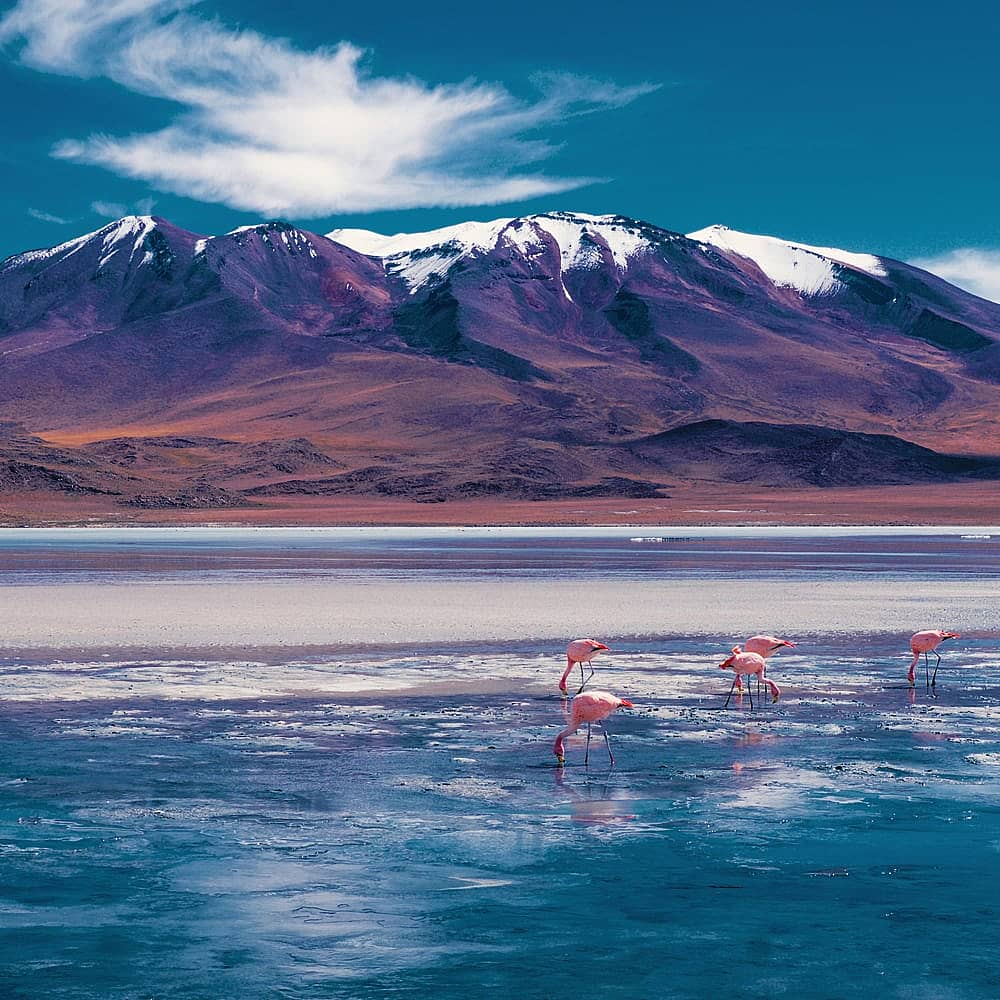 Design your own Winter tour in Bolivia