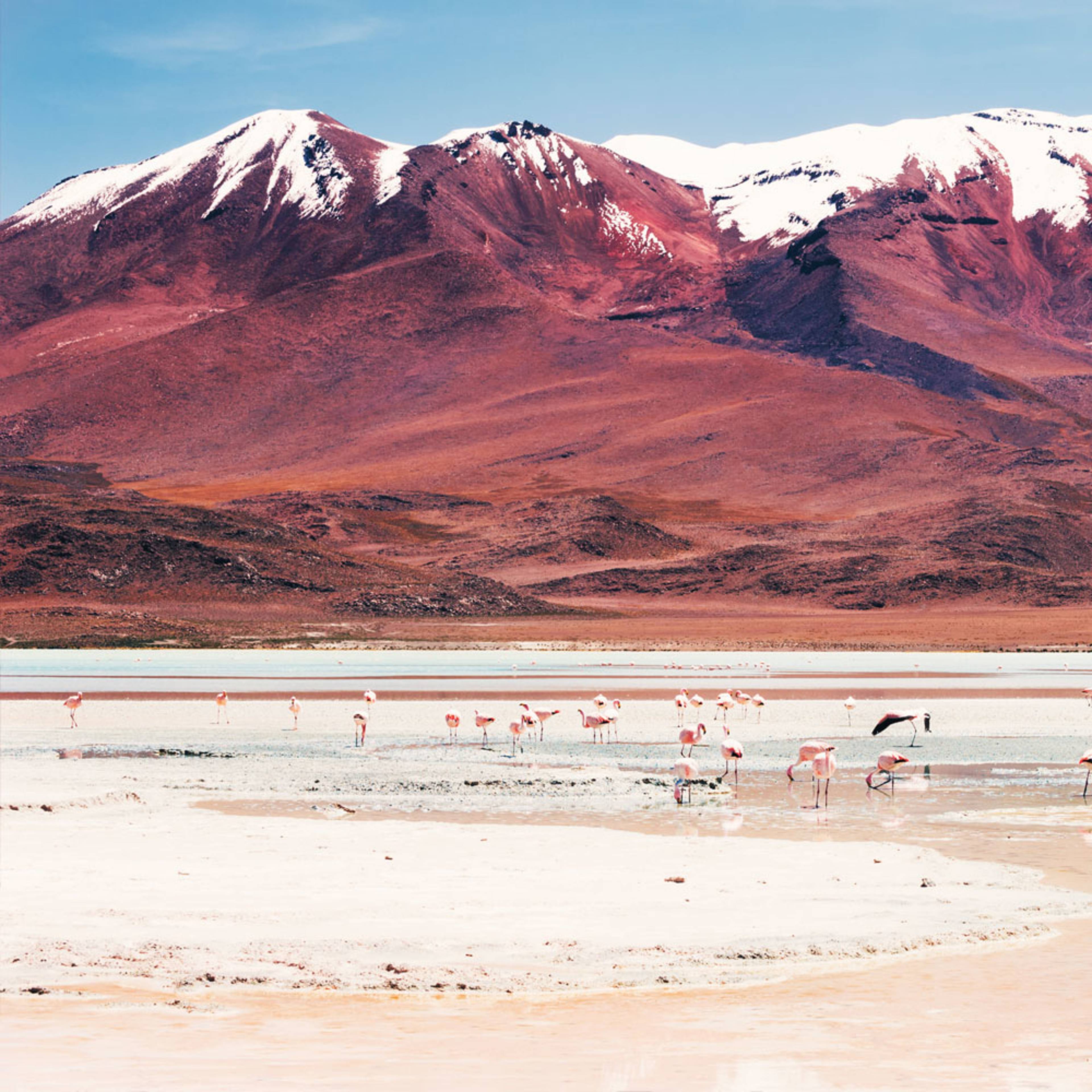 Design your perfect volcano tour with a local expert in Bolivia