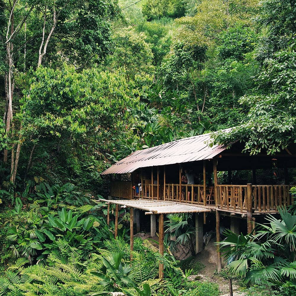 Design your perfect rainforest tour with a local expert in Colombia