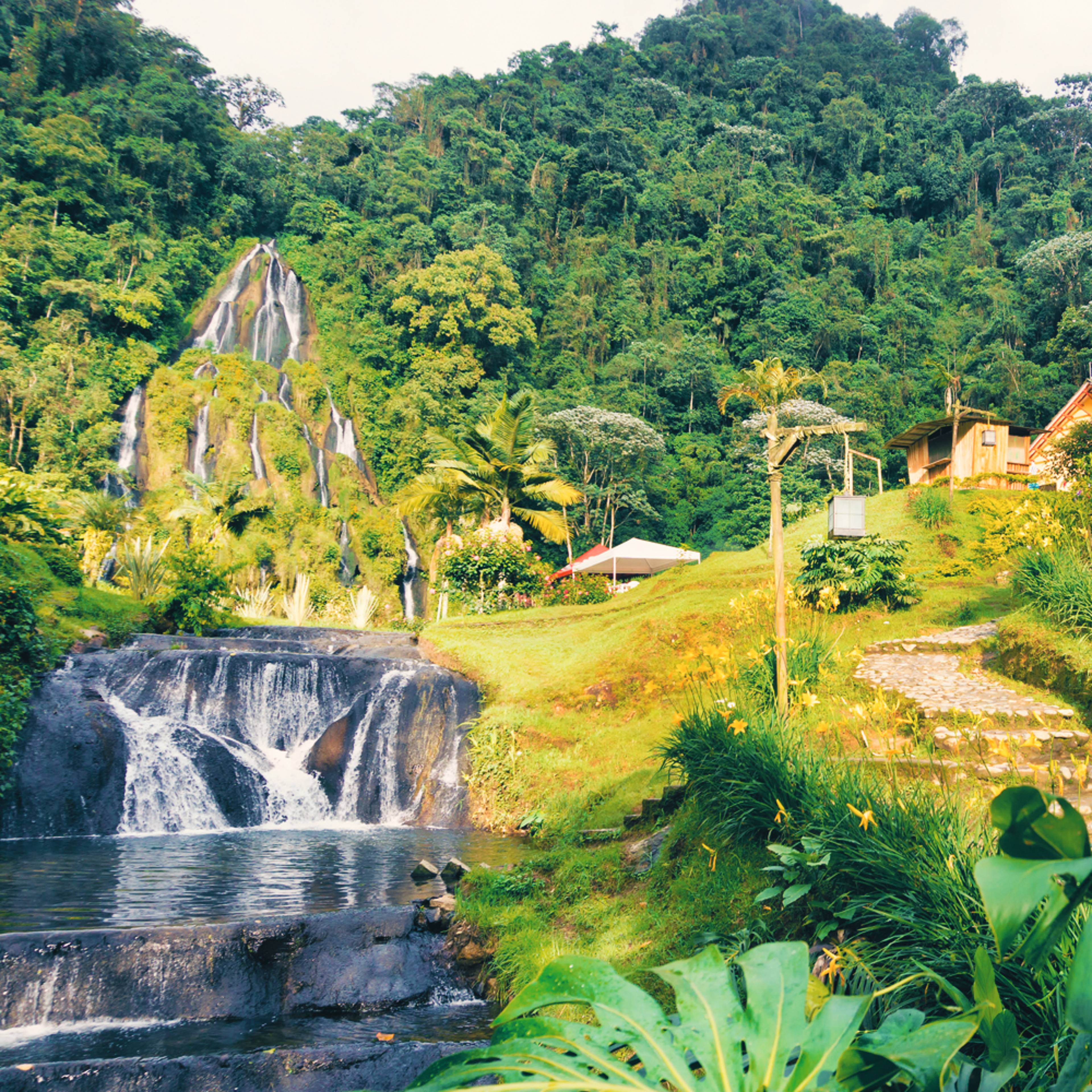 Design your perfect nature holiday with a local expert in Colombia