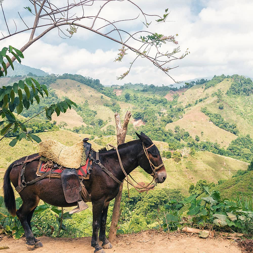 Experience Colombia off-the-beaten-track with a local expert