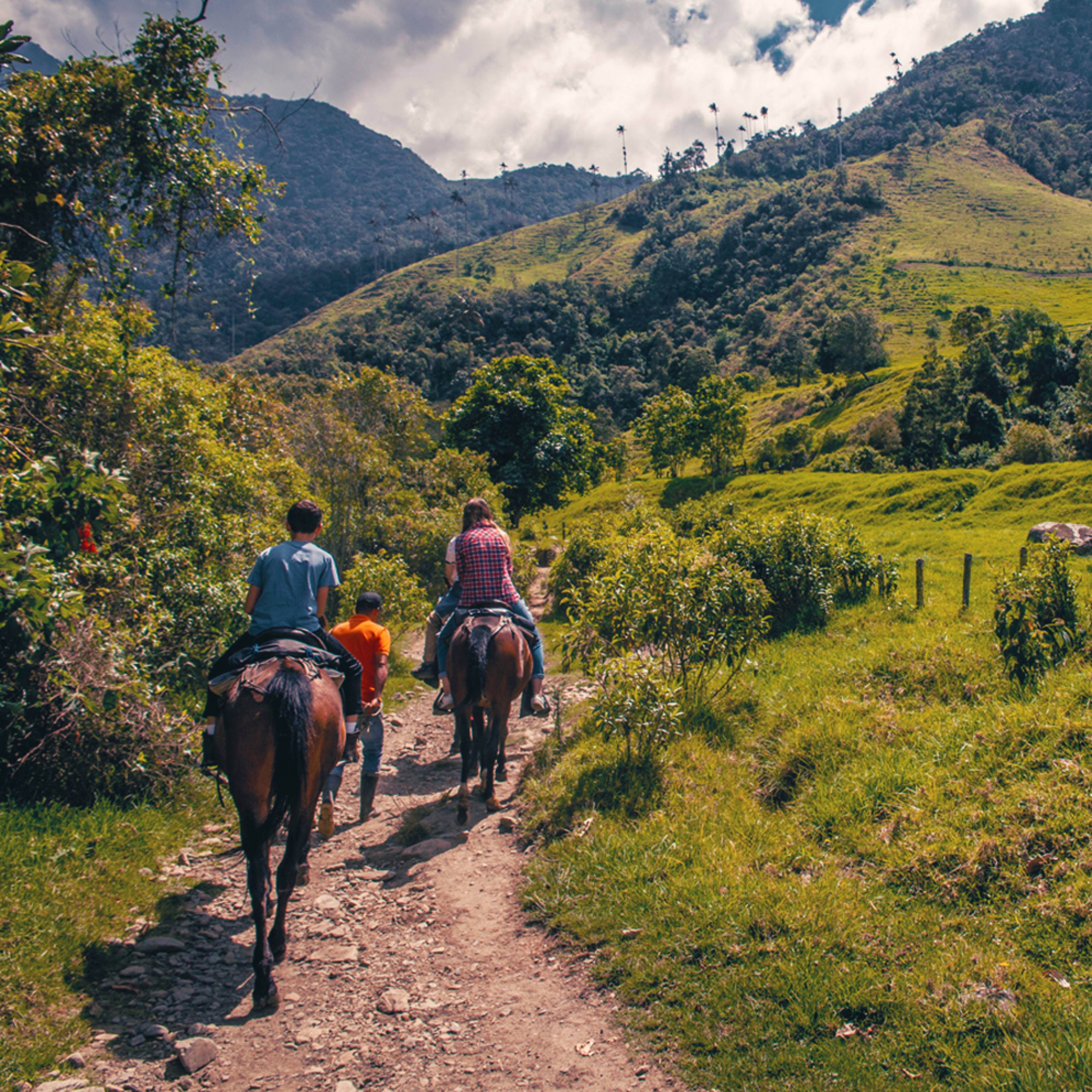 Design your horse riding tour in Costa Rica with a local expert