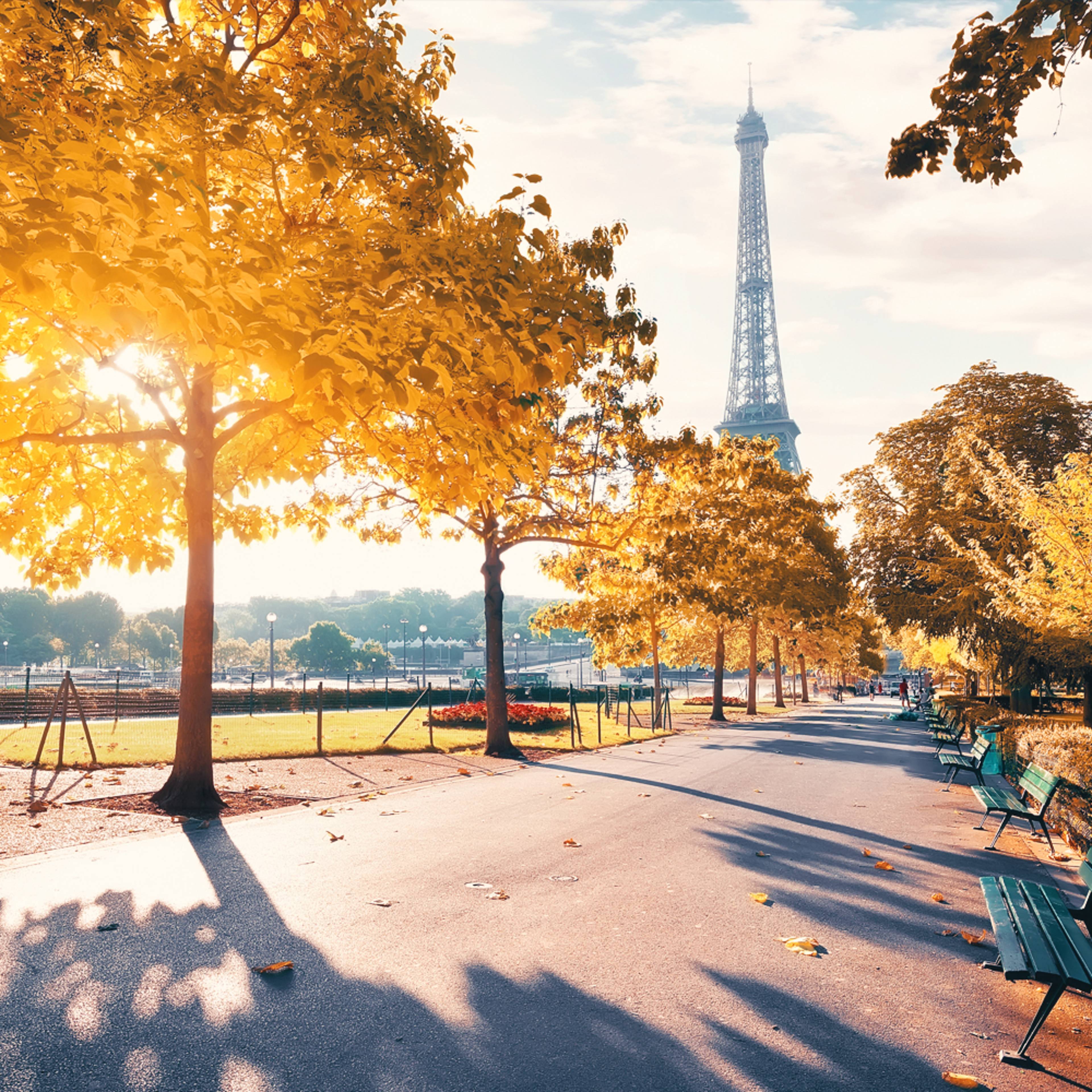 Design your perfect Autumn holiday in France with a local expert