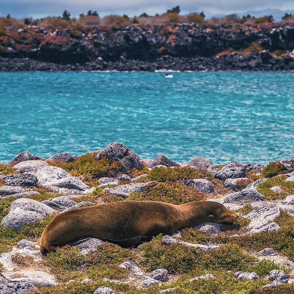 Design your perfect nature holiday with a local expert in the Galapagos