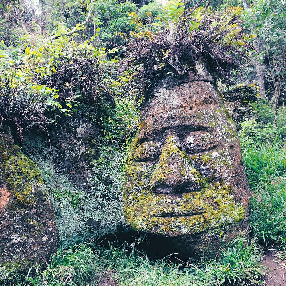 Design your perfect history tour with a local expert in the Galapagos Islands