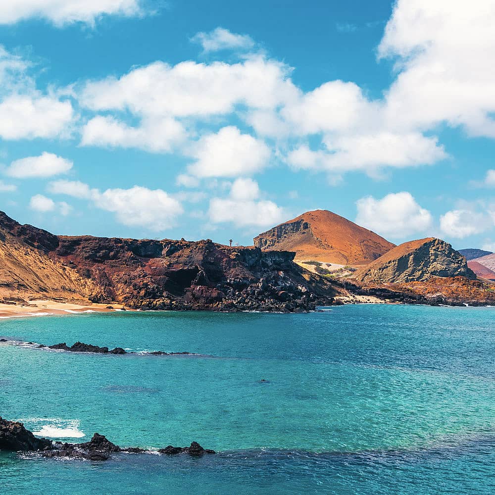 Design your perfect tour of the Galapagos' beaches with a local expert