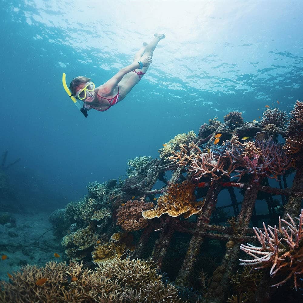 Experience scuba diving in Bali with a hand-picked local expert