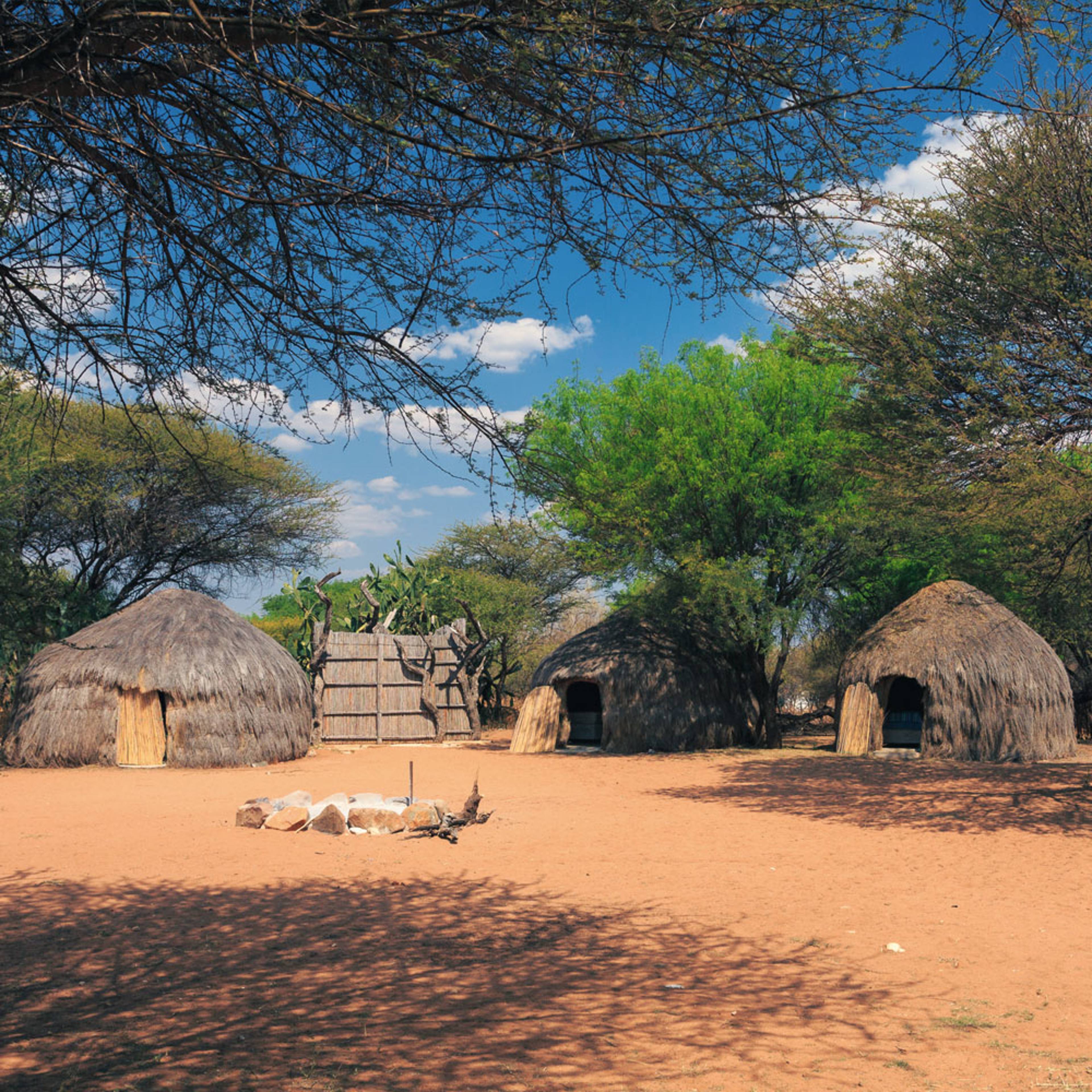 Design your perfect two week tour with a local expert in Botswana