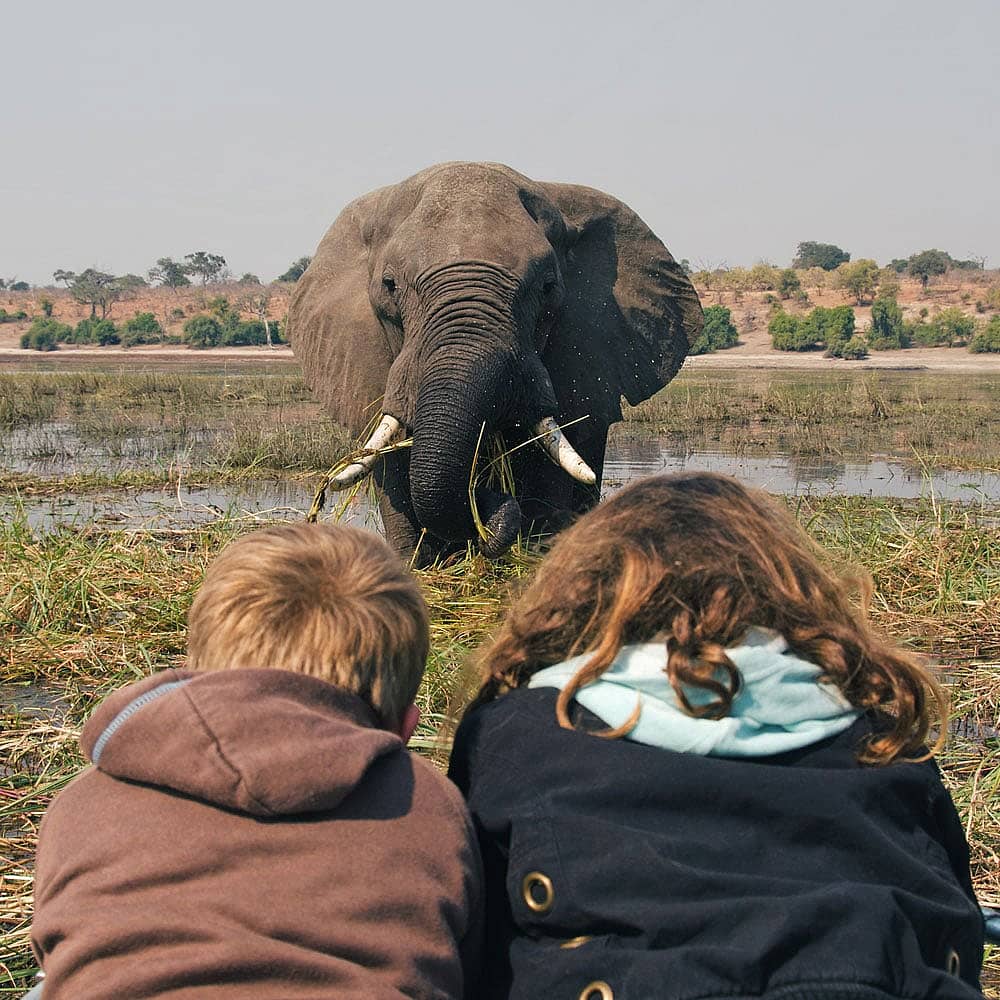 Design your perfect family holiday with a local expert in Botswana