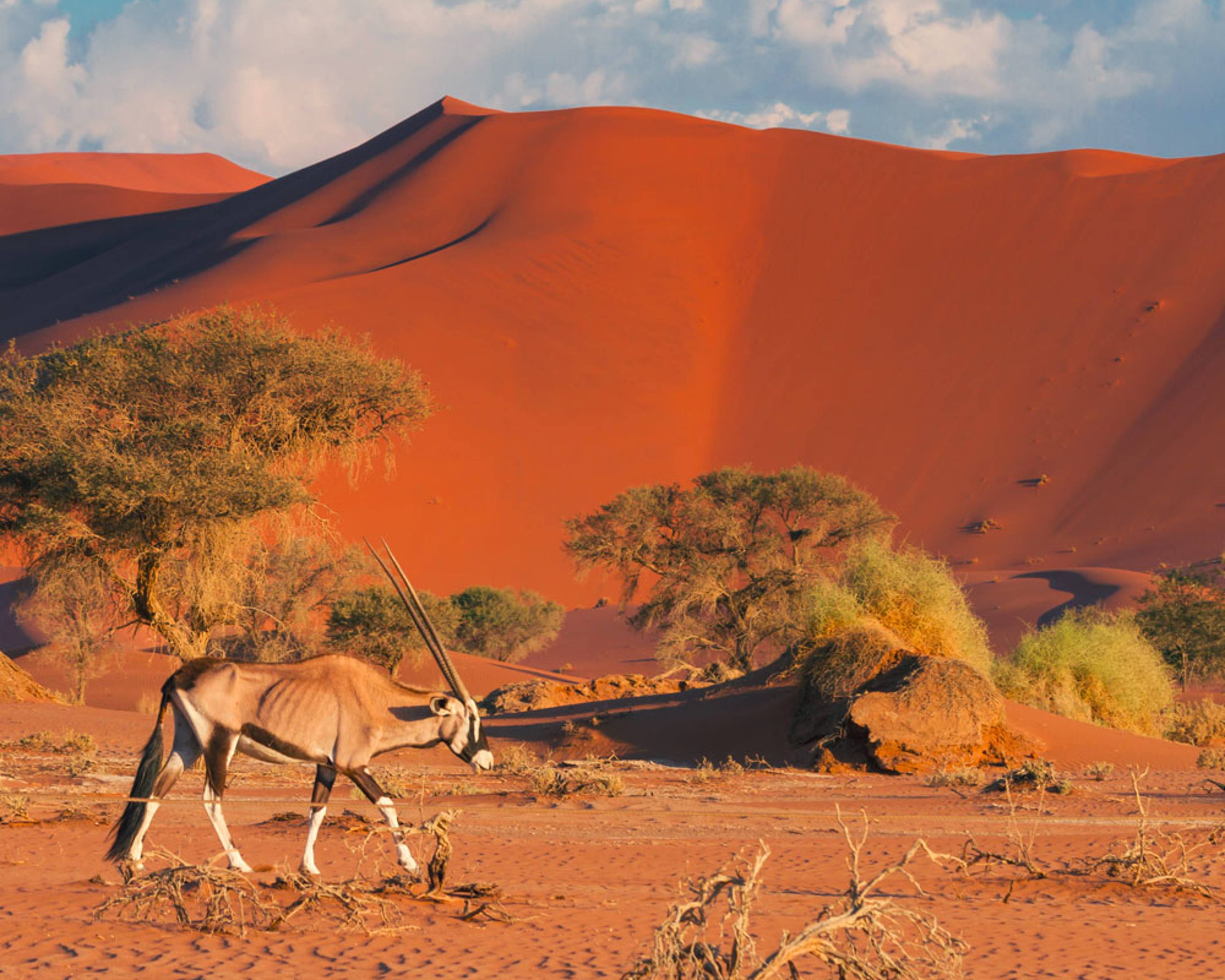 Individuelle Wüstentouren Namibia - Reise jetzt individuell gestalten