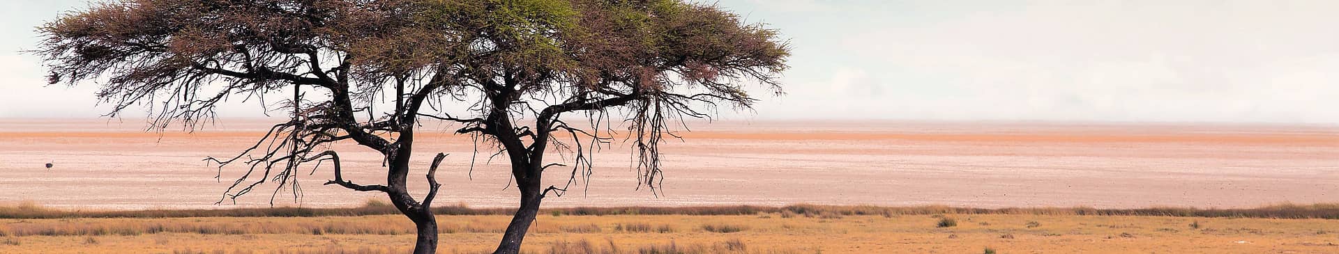 Wüstentour Botswana