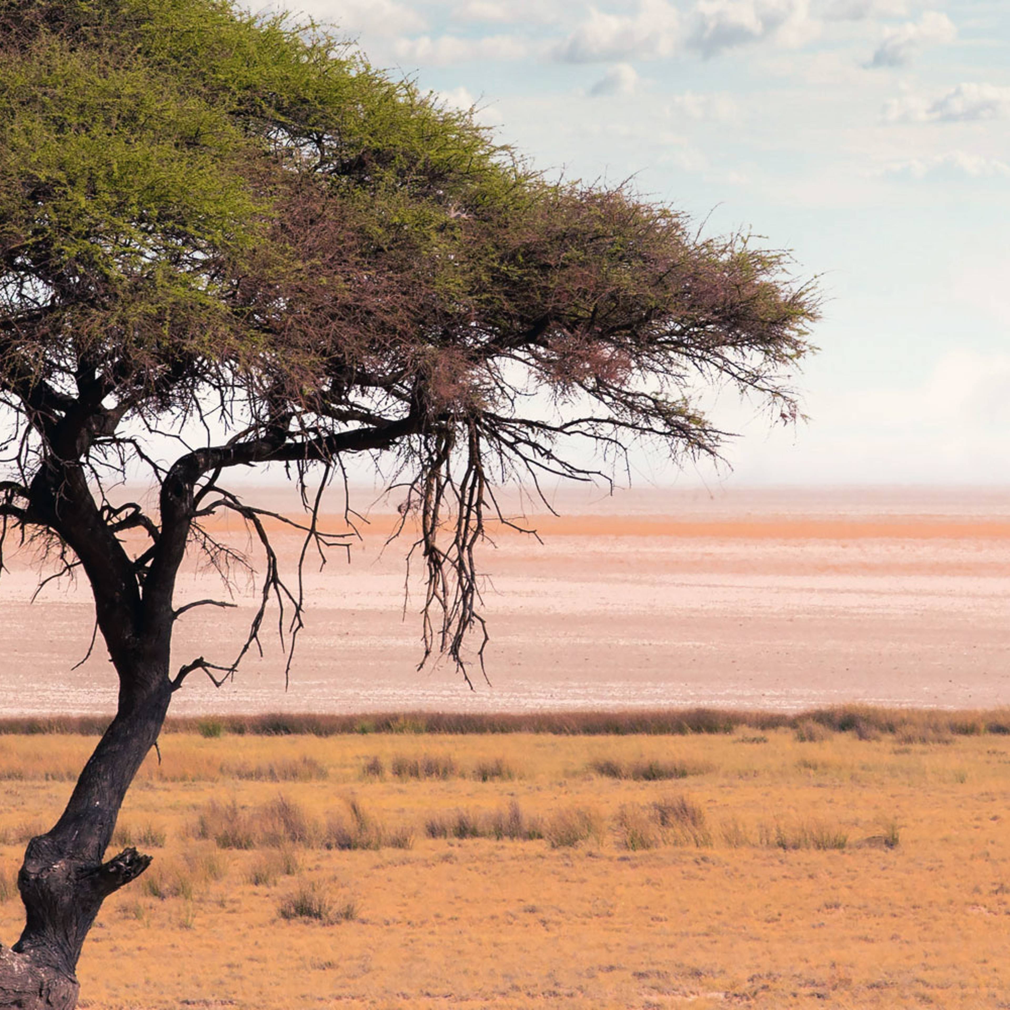 Individuelle Wüstentouren Botswana - Reise jetzt individuell gestalten