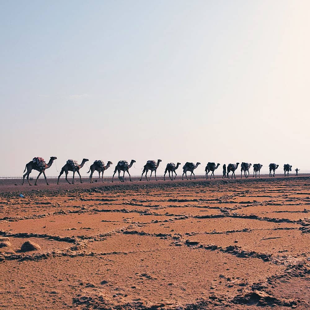 Wüstentour Äthiopien - Individualreise buchen