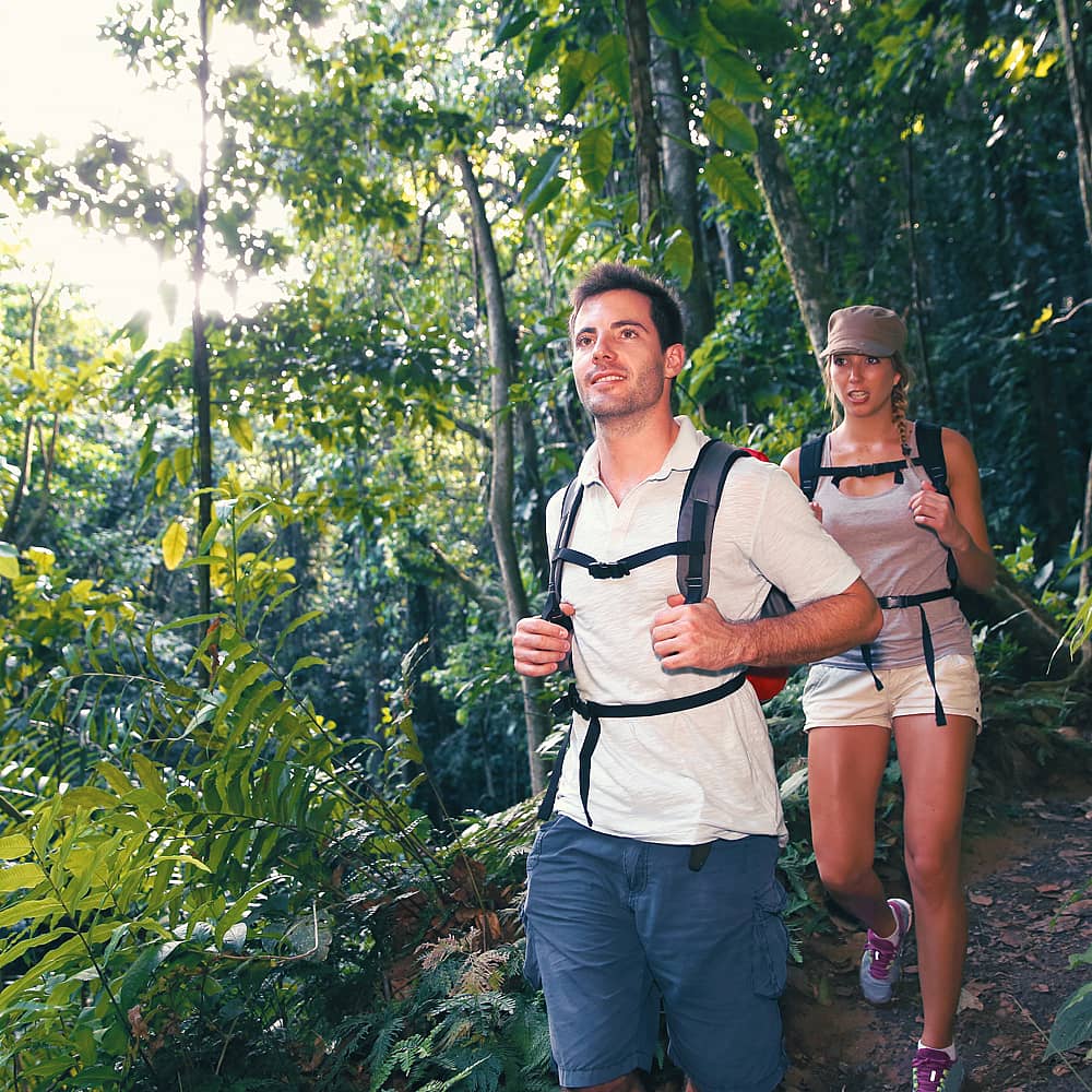 Design your perfect hiking tour with a local expert in Guadeloupe