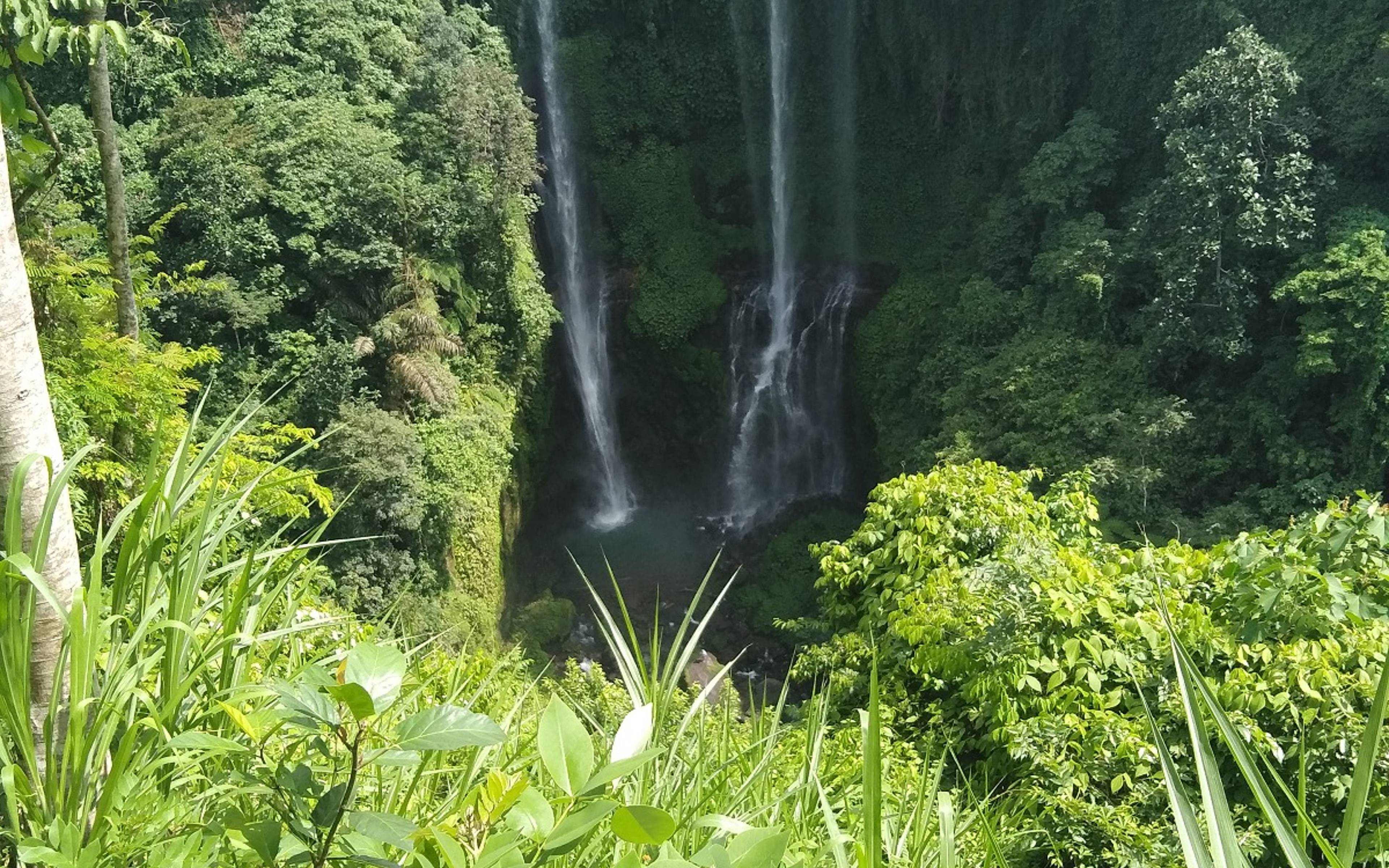 Des cascades de Sekumpul à Kintamani