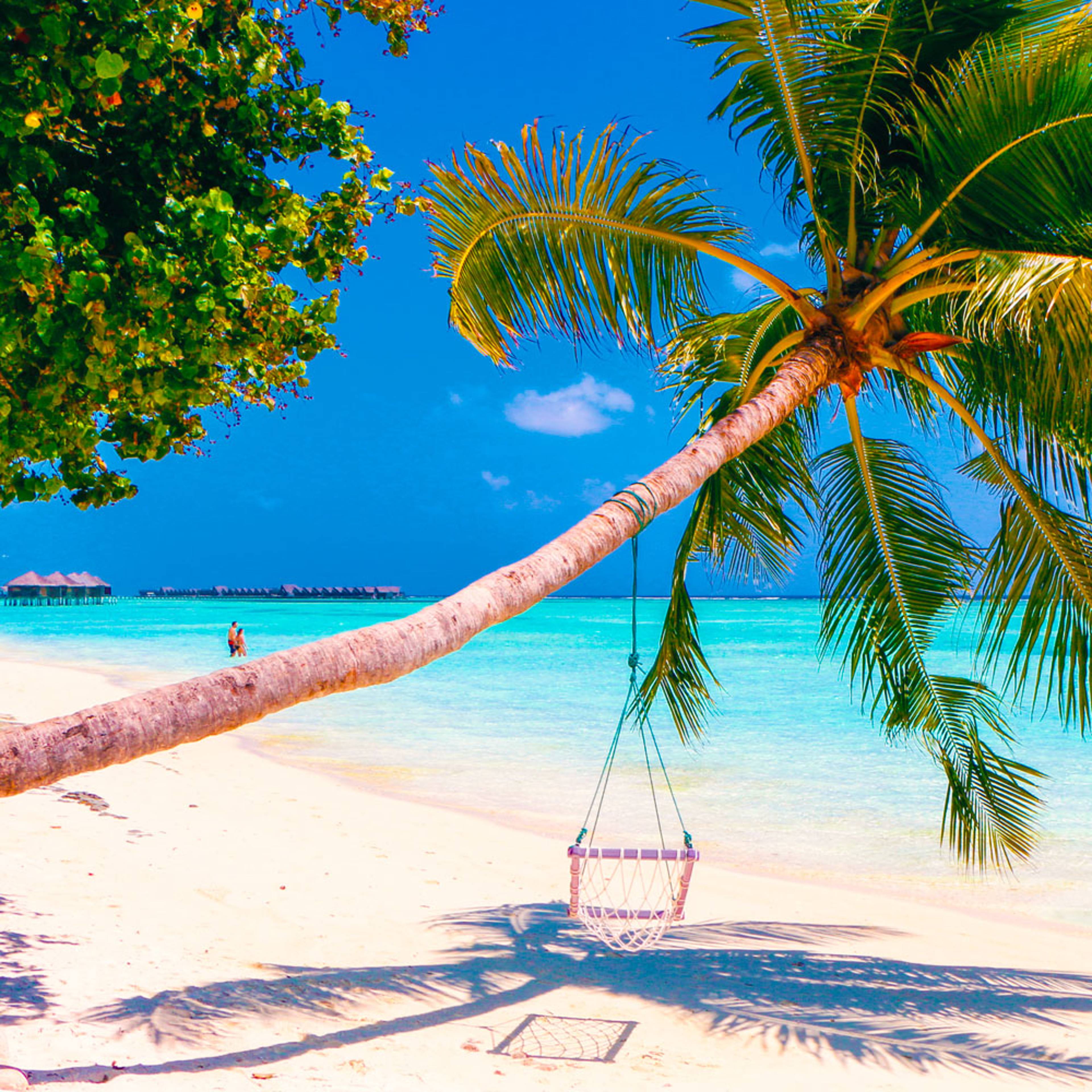 Découvrez les plus belles plages lors de votre voyage aux Maldives 100% sur mesure