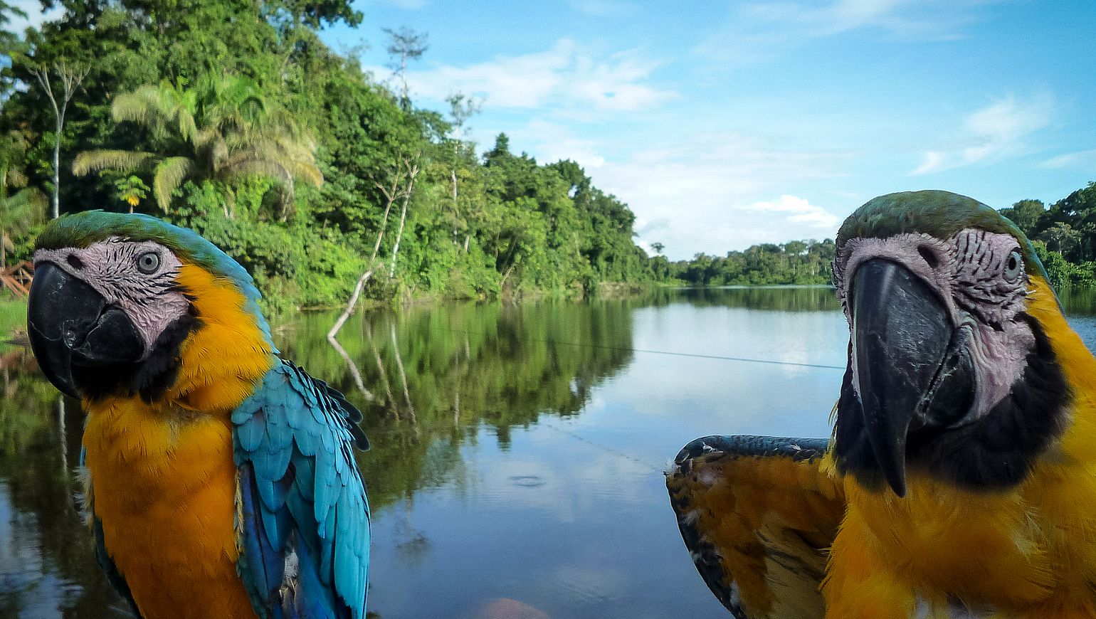 wildlife tours in colombia