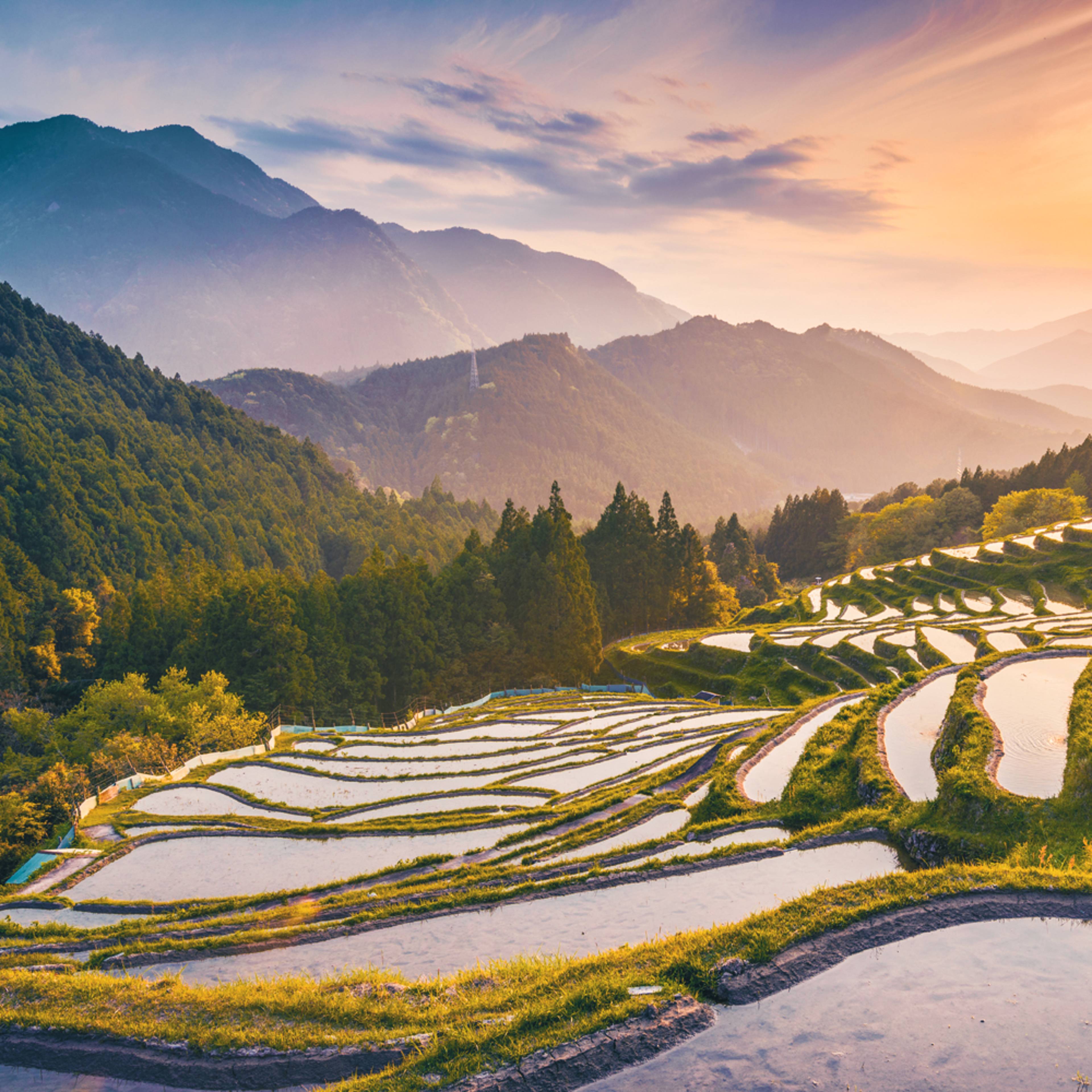 Experience Japan off-the-beaten-track with a local expert