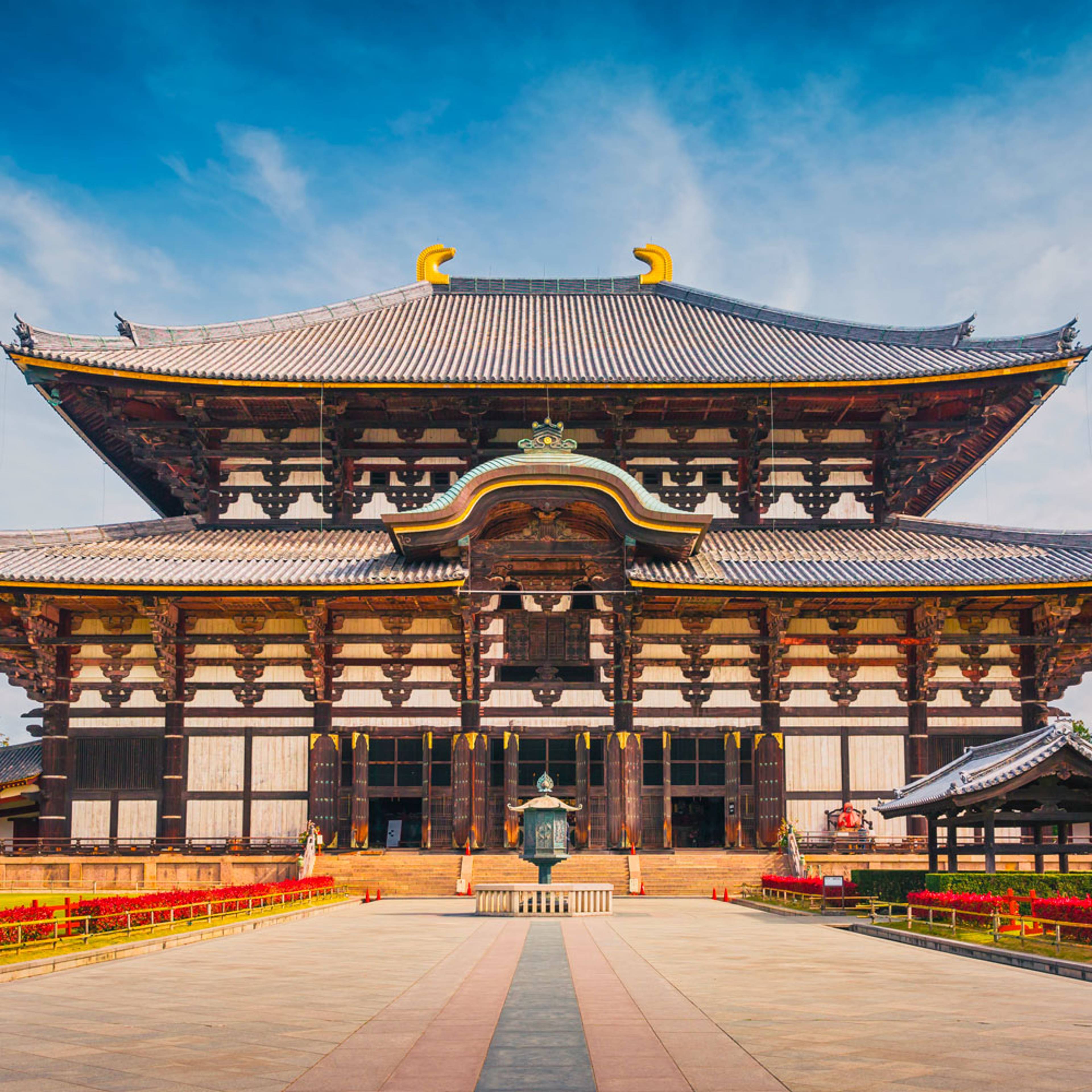 Design your perfect one week tour with a local expert in Japan