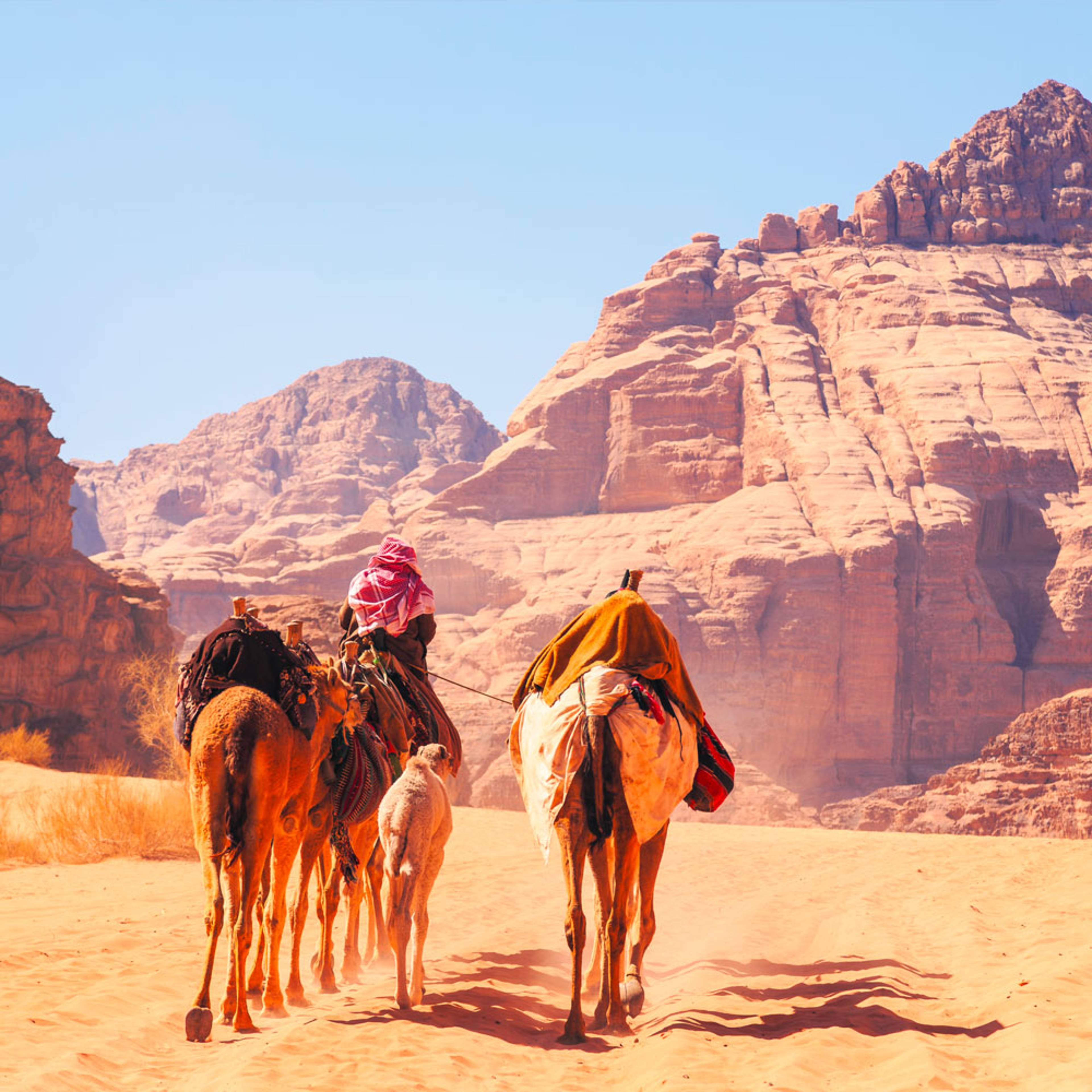 Design your perfect desert tour with a local expert in Jordan