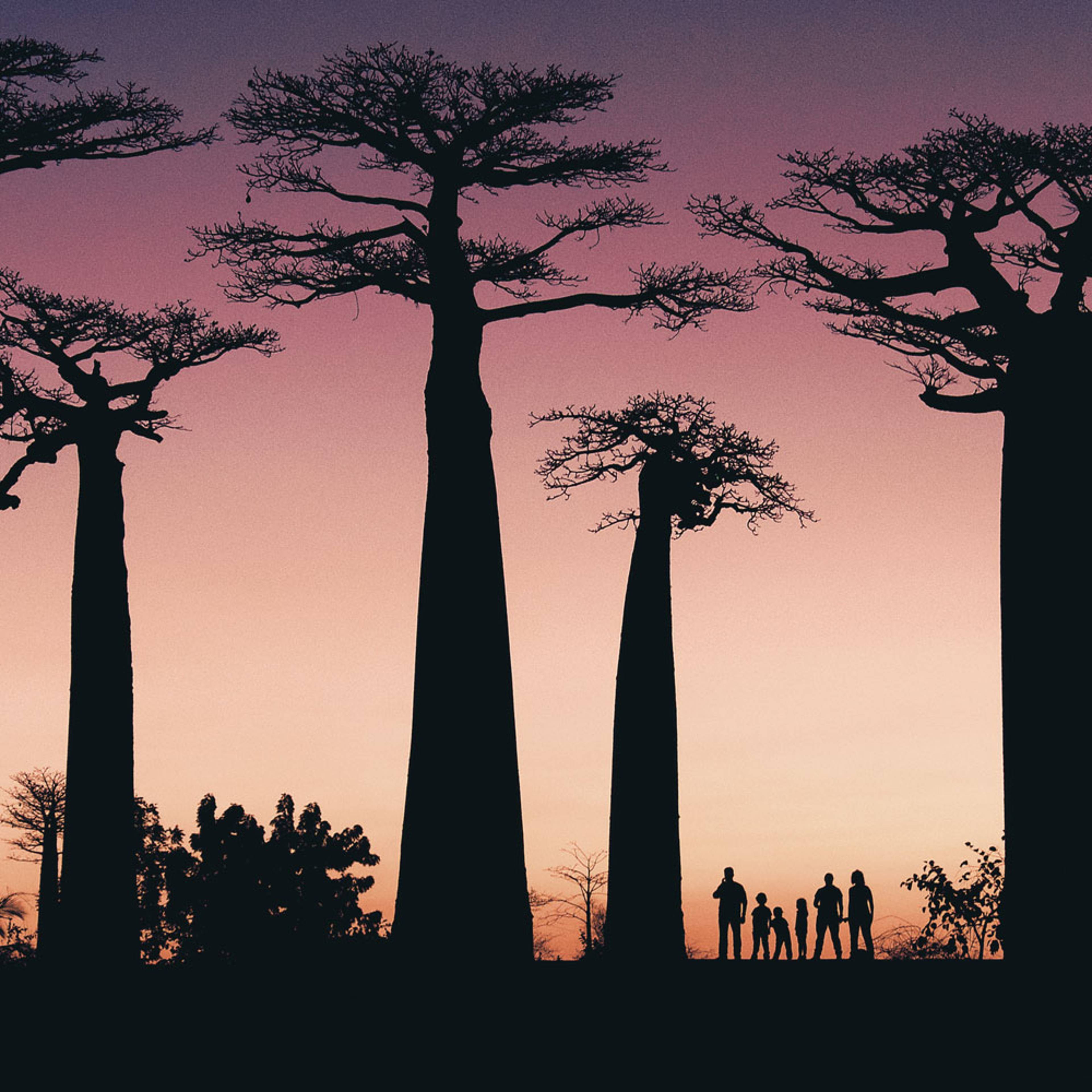 Design your perfect family holiday with a local expert in Madagascar