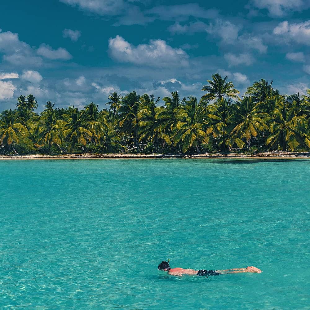 Experience diving in Martinique with a hand-picked local expert