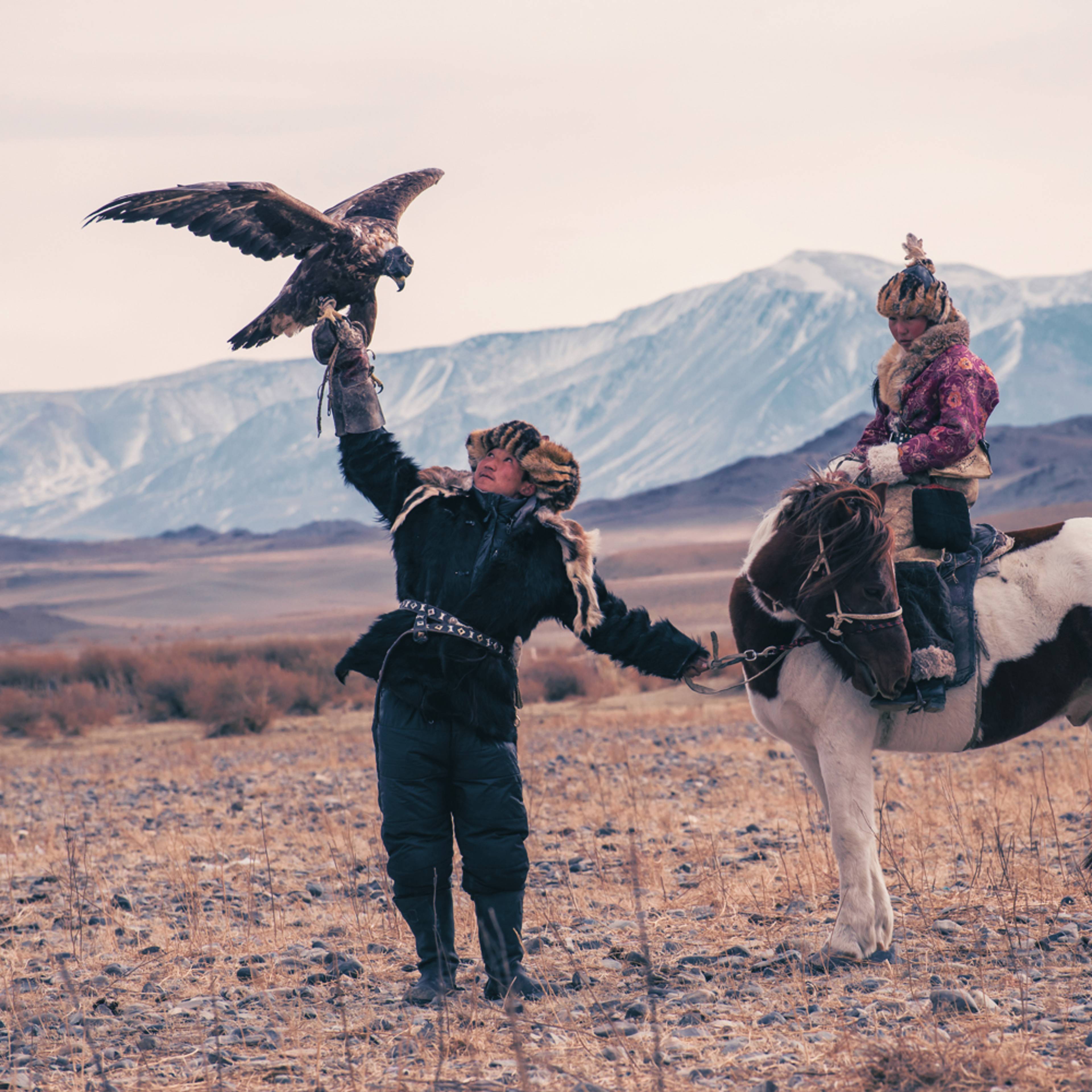 Design your birdwatching holiday with a local expert in Mongolia
