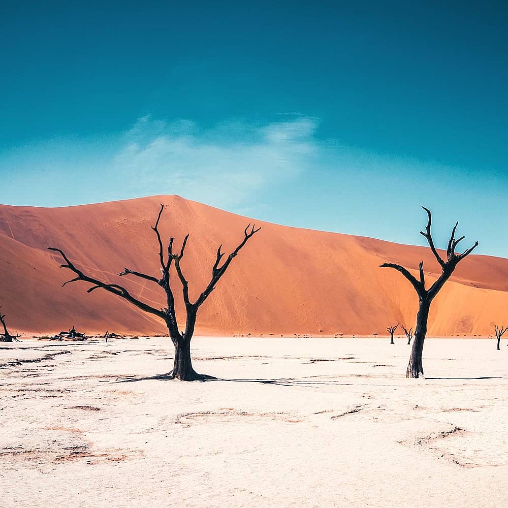 Design your perfect spring holiday in Namibia with a local expert