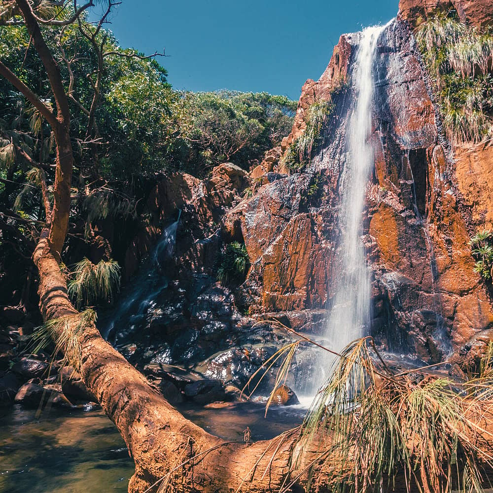 Design your perfect nature holiday with a local expert in New Caledonia