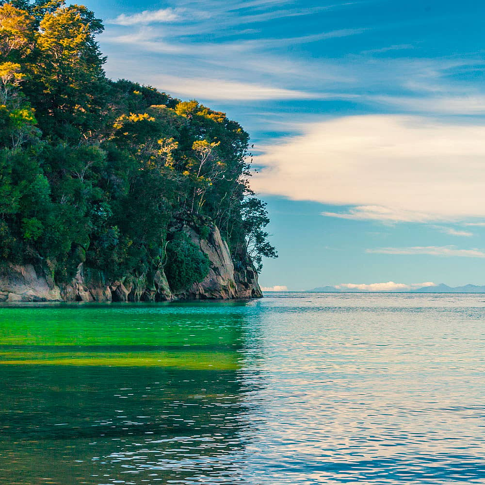 Design your perfect spring holiday in New Zealand with a local expert