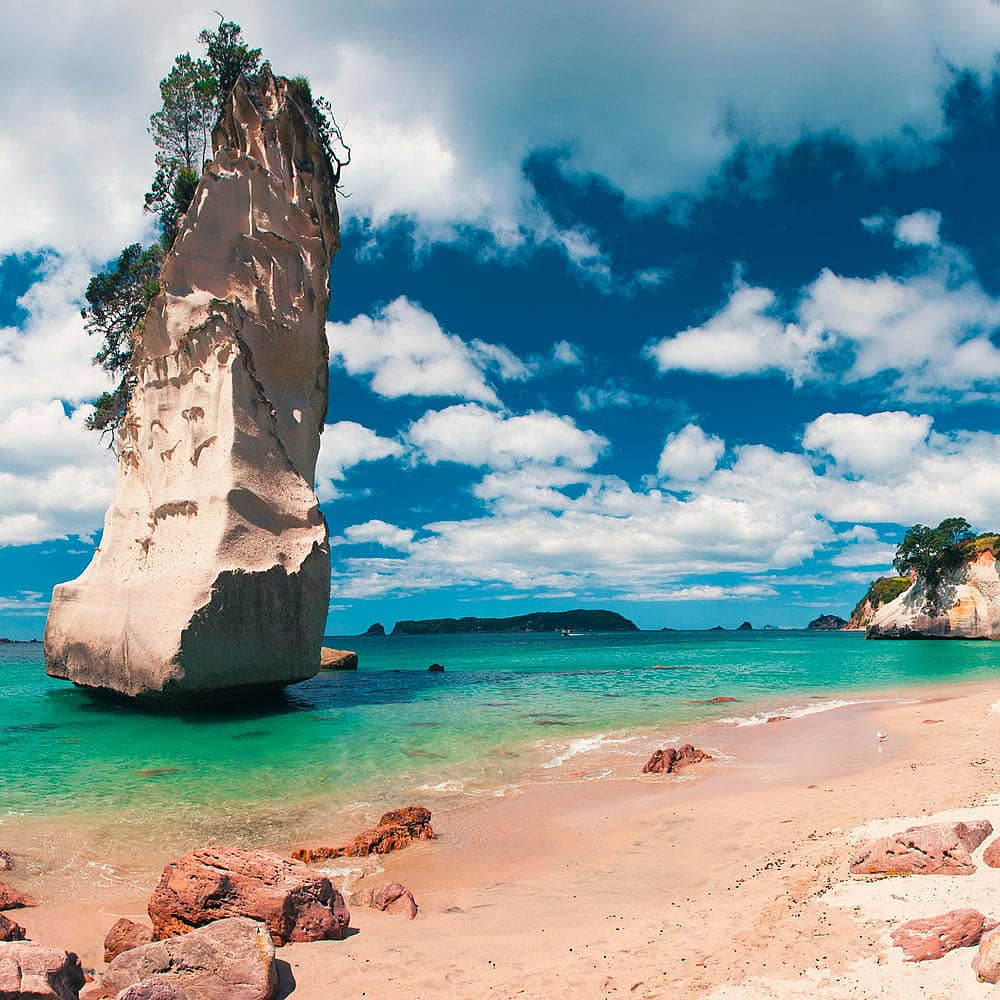 Design your perfect summer holiday in New Zealand with a local expert