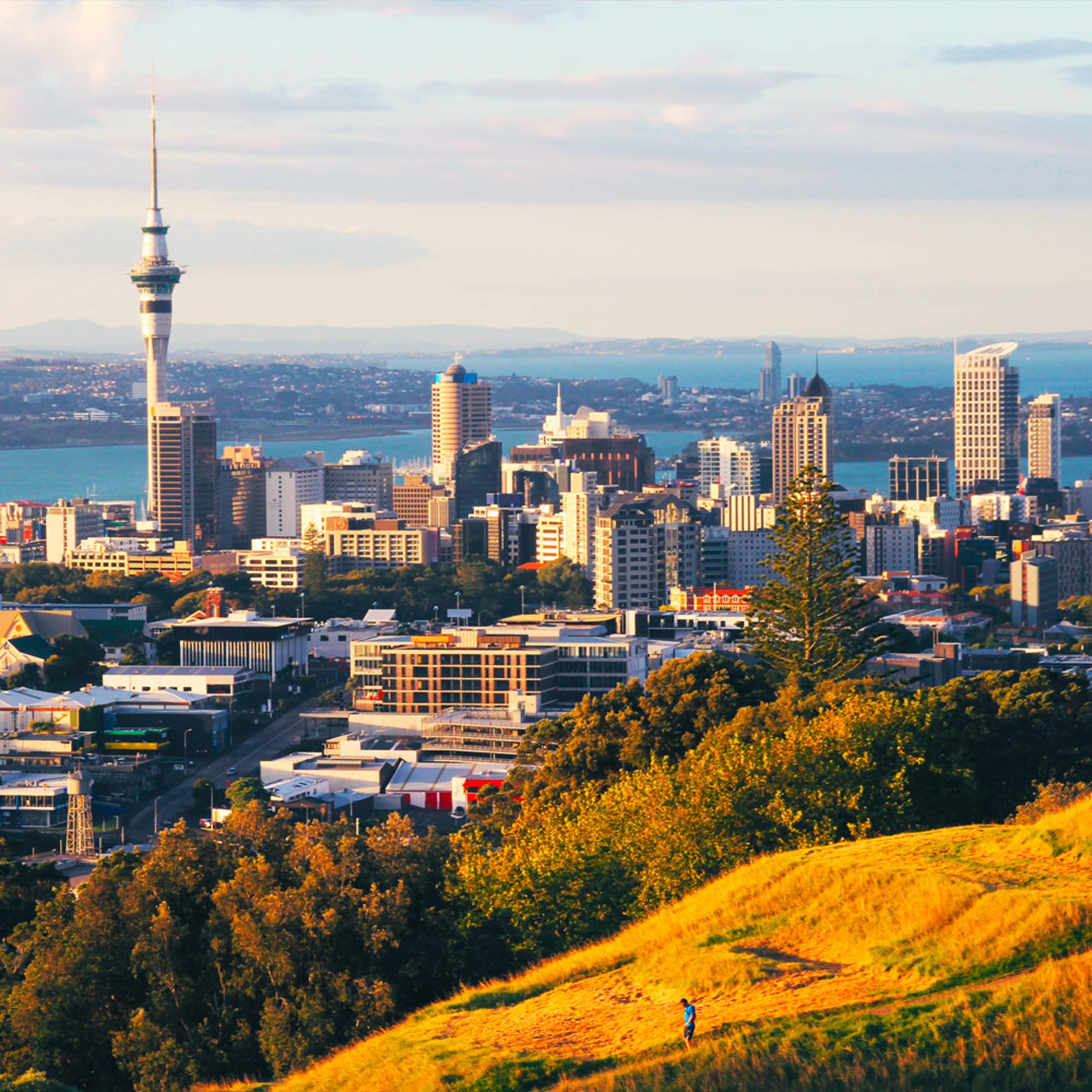 Design your perfect city tour with a local expert in New Zealand