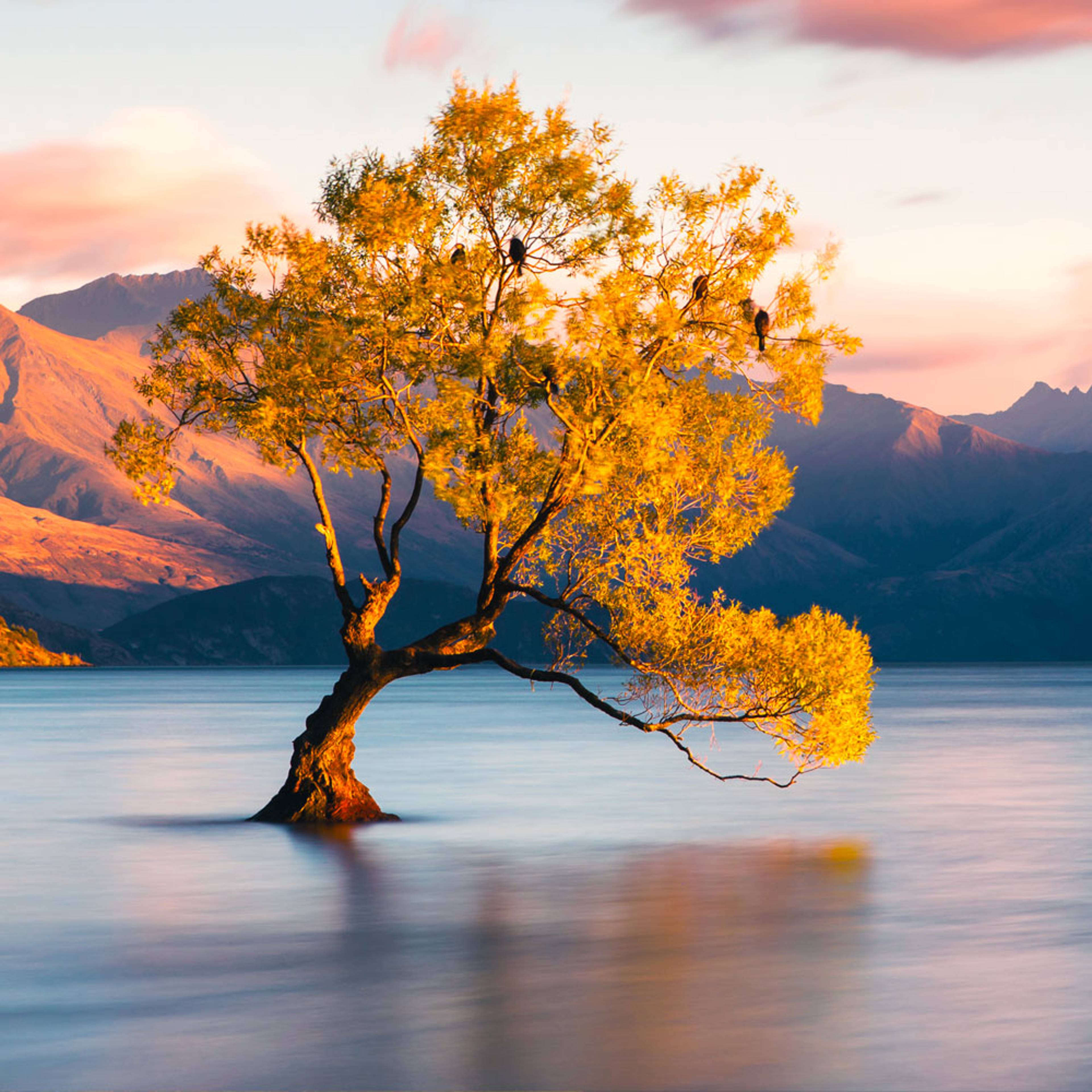 Design your perfect nature holiday with a local expert in New Zealand