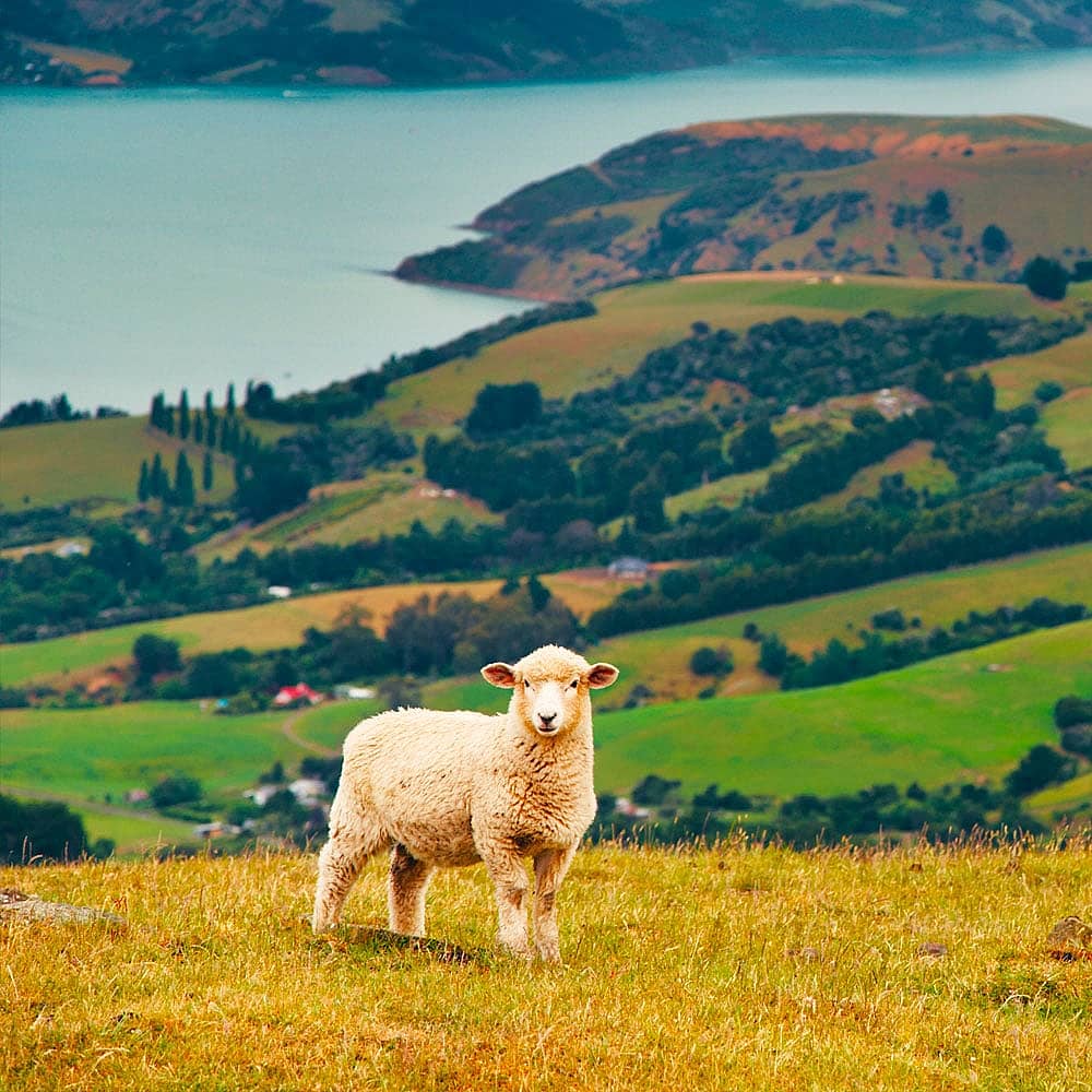 Design your perfect two week tour with a local expert in New Zealand