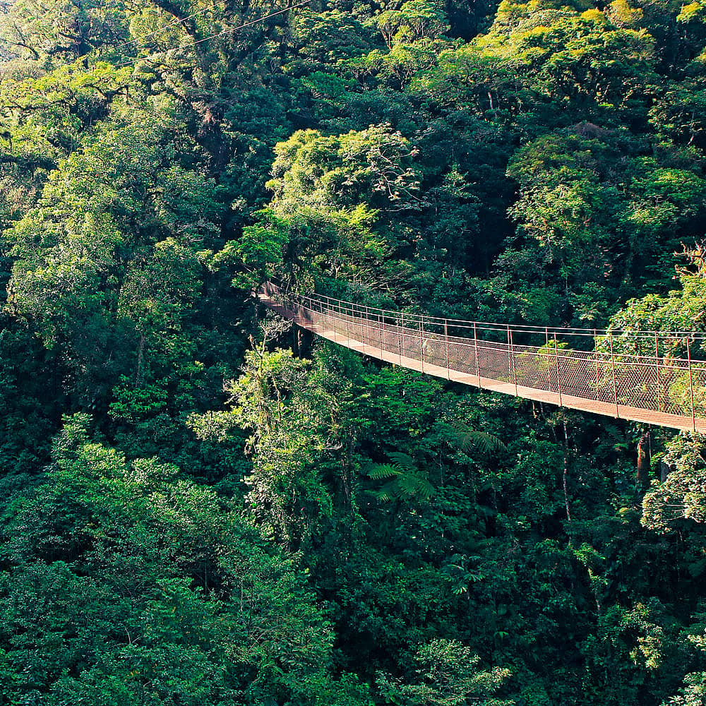 Design your perfect rainforest tour with a local expert in Panama