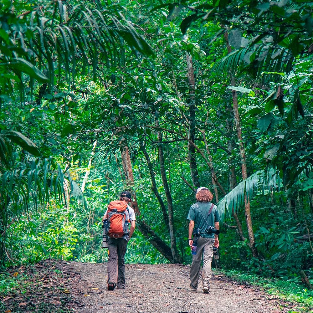 Design your perfect hiking tour with a local expert in Panama