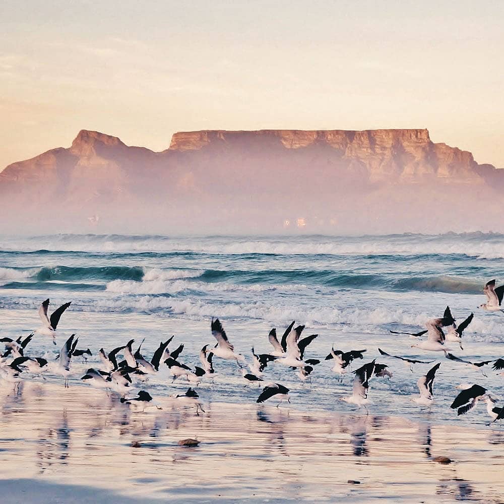 Design your perfect spring holiday in South Africa with a local expert