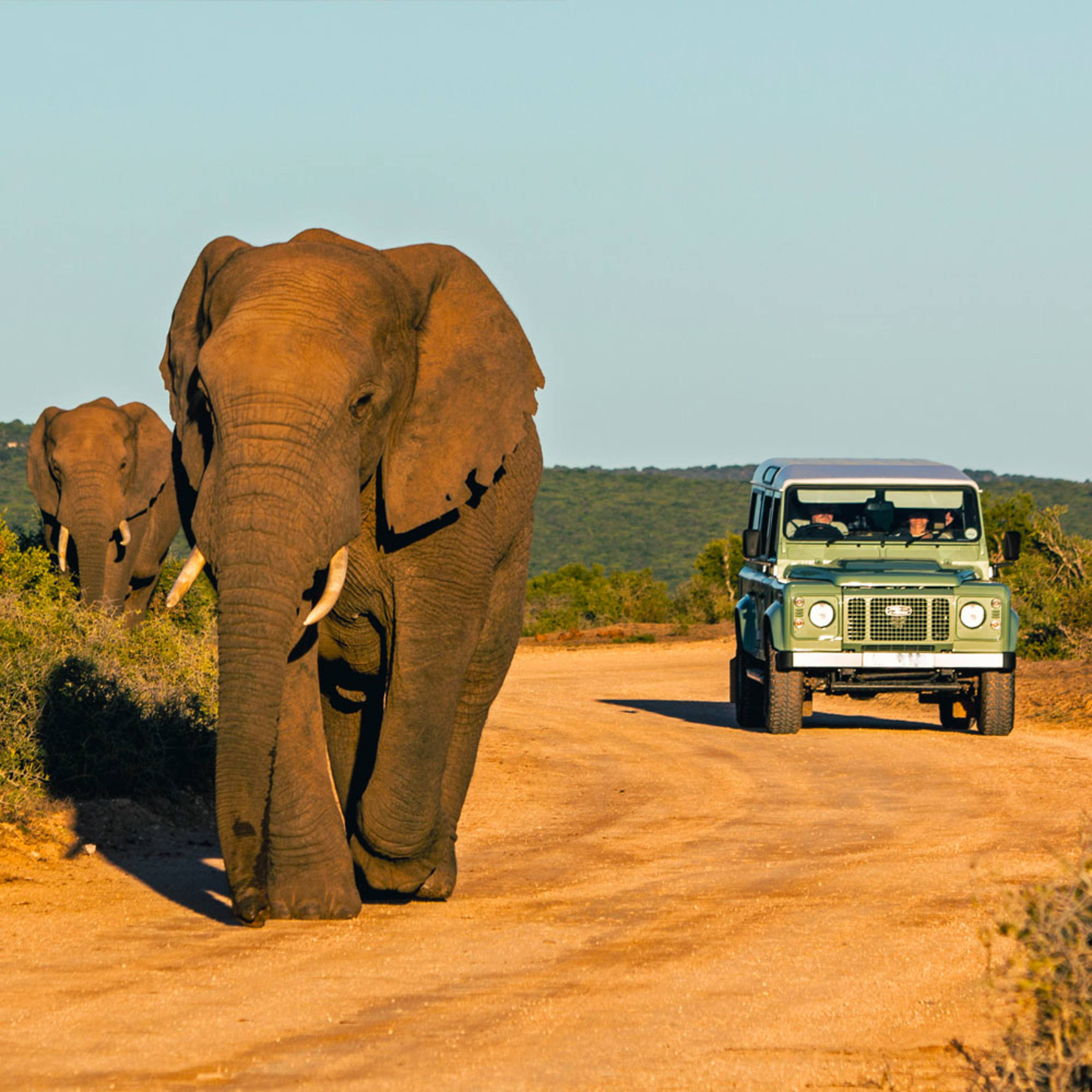 Design your perfect self drive tour with a local expert in South Africa